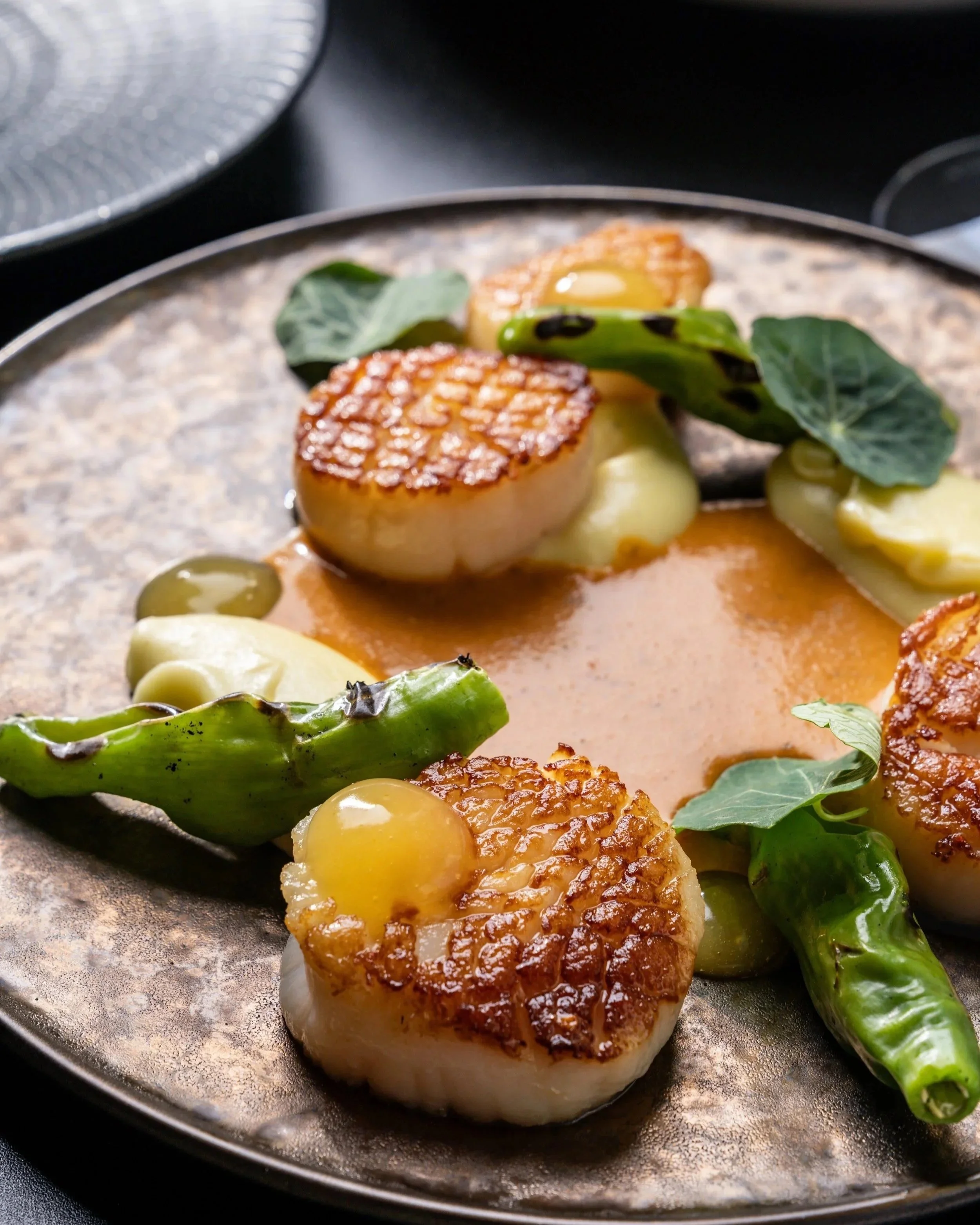 Seared scallops with char marks, garnished with green leaves, served on a black plate.
