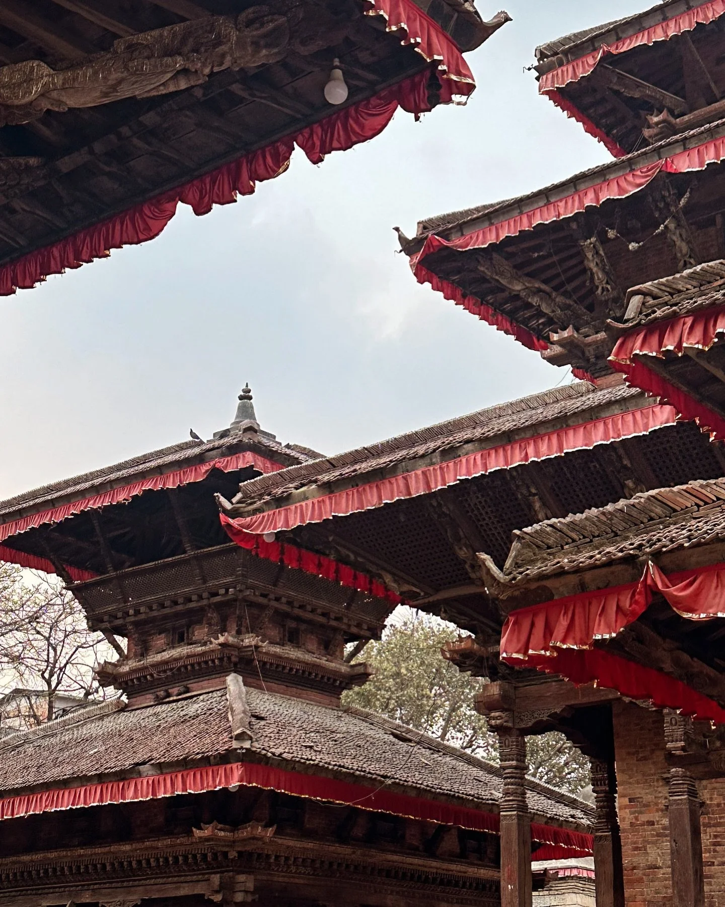 🇳🇵