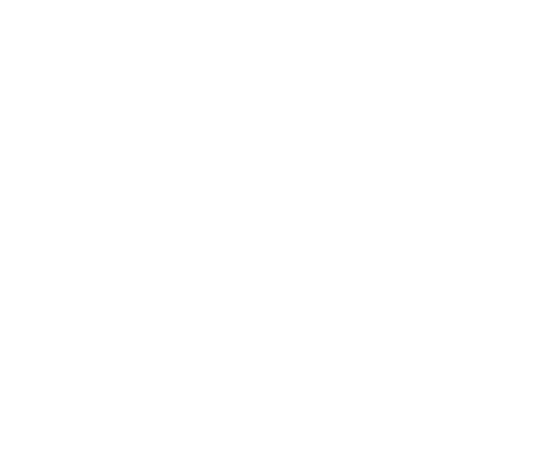 The image is blank with a white background and no visible objects or details.