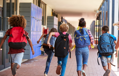 School Districts