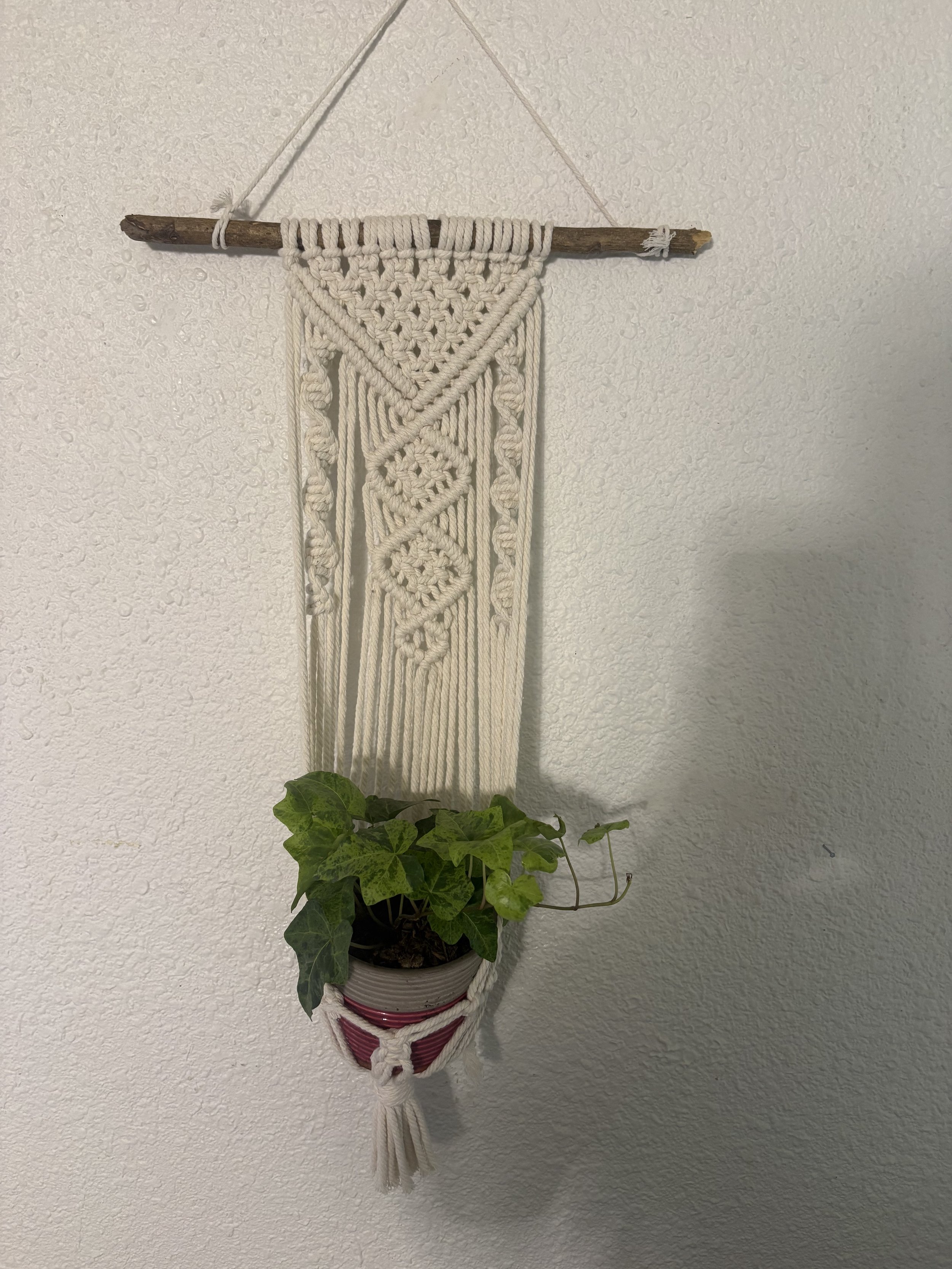 My Falls
(7" x ?")
A decorative plant hanger featuring intricate knotwork, cascading fringe, and a natural wood branch. Designed to showcase your favorite trailing plants while adding texture, warmth, and a touch of nature to your home.
$55.00