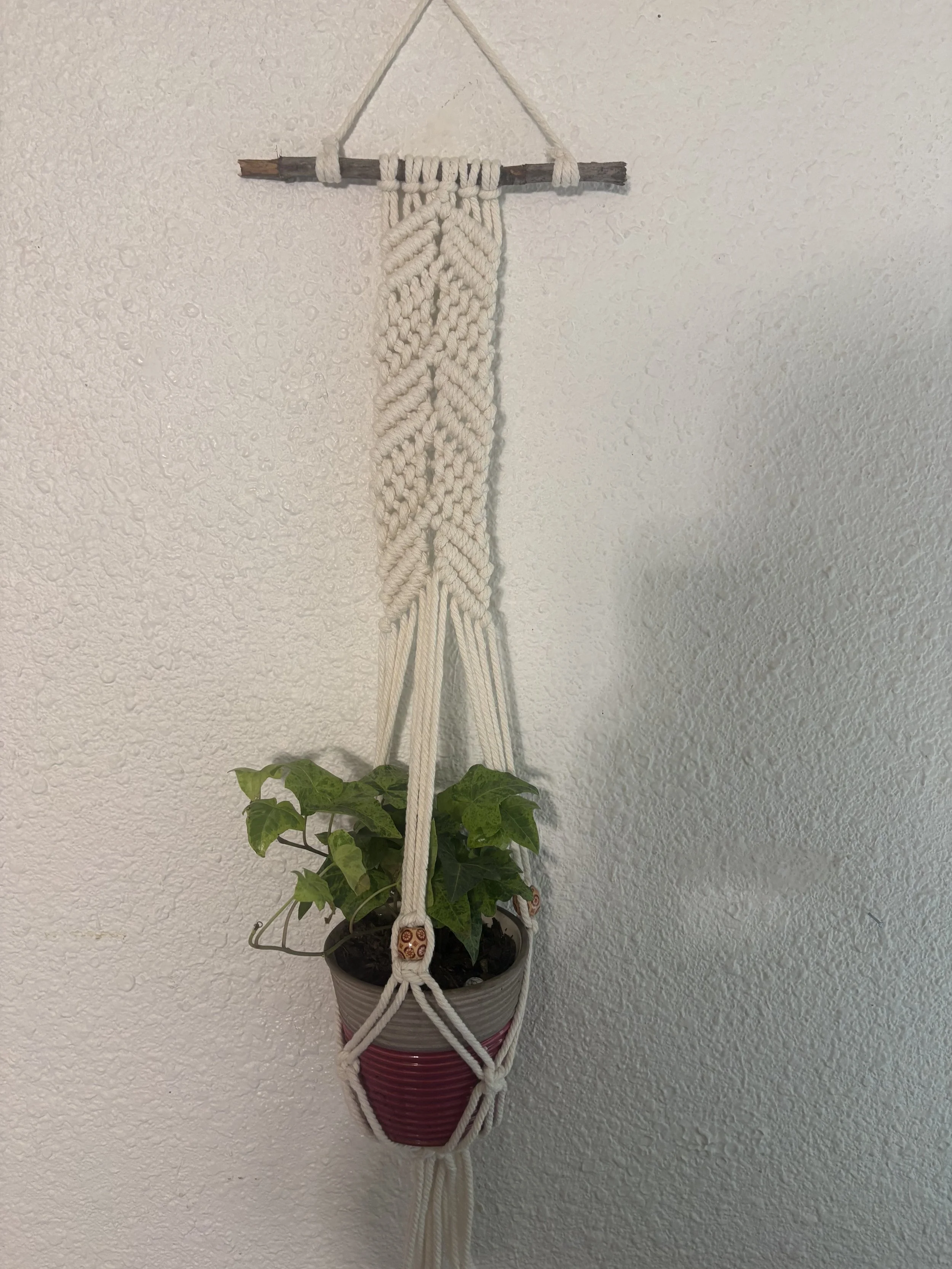 Braided Vine Plant Hanger
(3" x ?")
A flowing braid design accented with natural wood beads and clean lines. Perfect for showcasing your favorite plants while adding texture and interest to any wall.
$45.00
