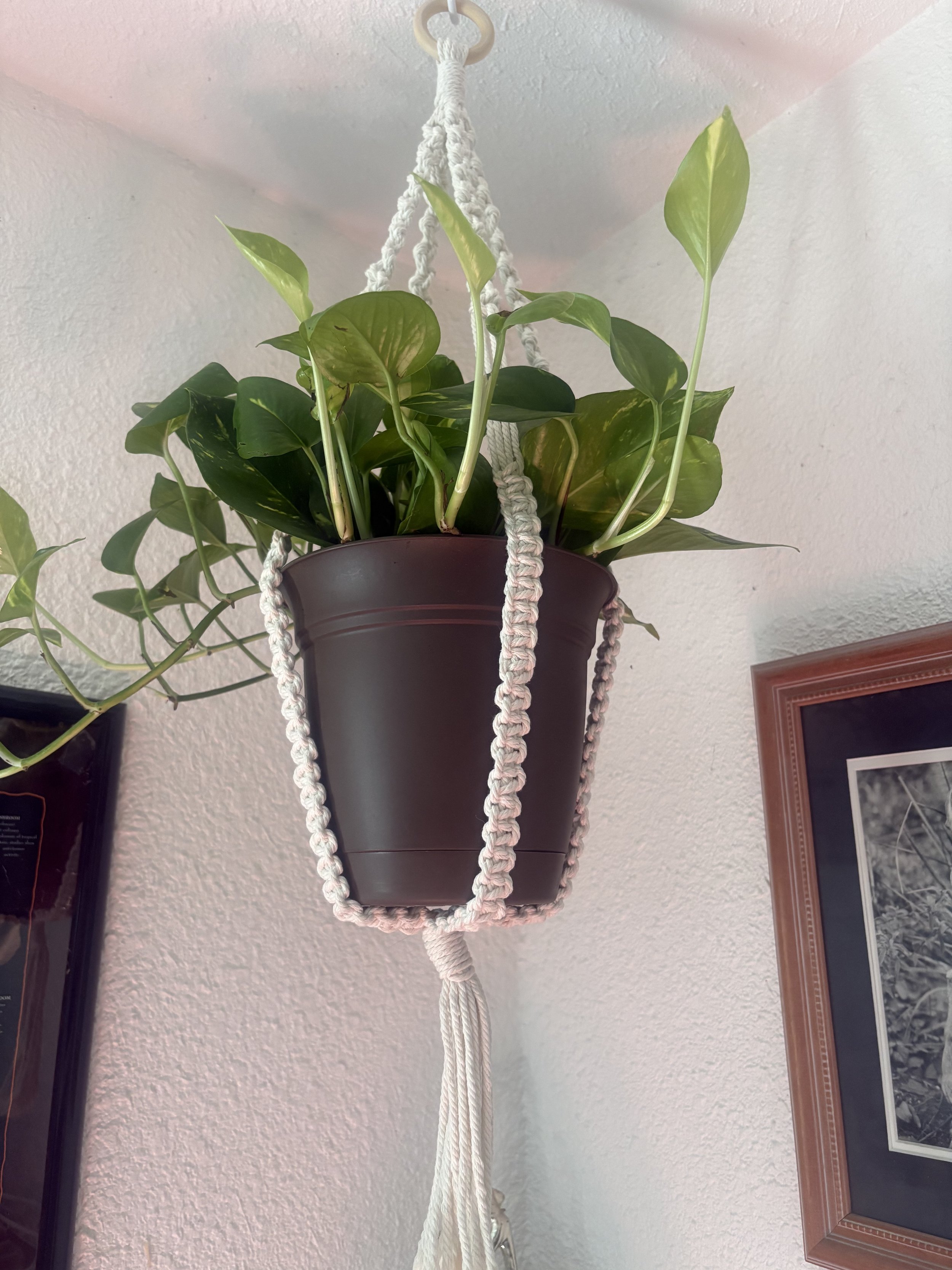 Ivory Plant Hanger
(10" x 32")
A handcrafted plant hanger featuring a timeless ivory design. Clean lines and subtle texture make it a versatile addition to any home, from modern to bohemian spaces.
$30.00