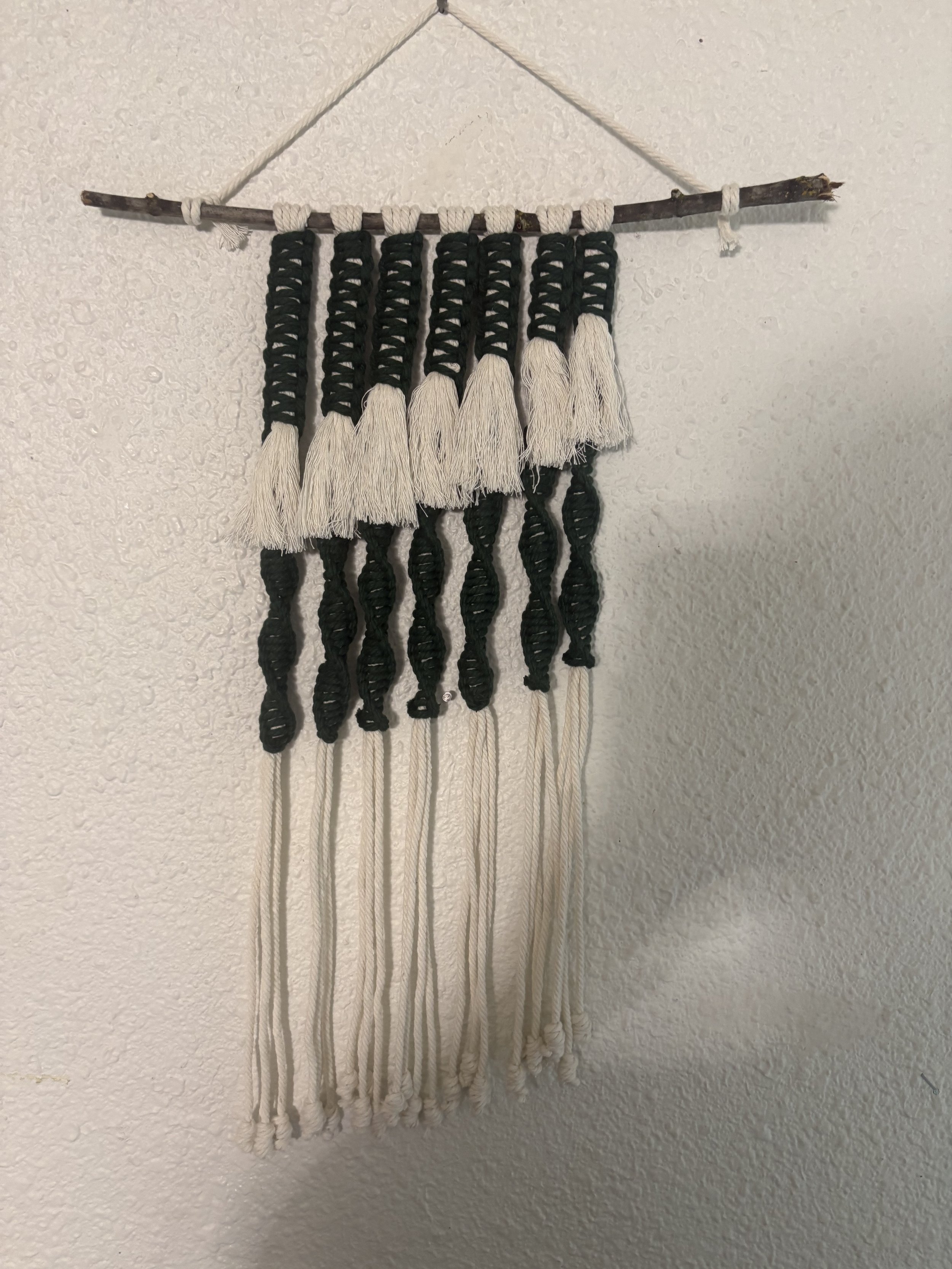 Monochrome Tassel Wall Hanging
(8" x 24")
Bold dual-colored contrast gives this piece a modern, eye-catching look. Layered knots, soft tassels, and flowing fringe create texture and movement while keeping the design clean and minimalist. 
$55.00