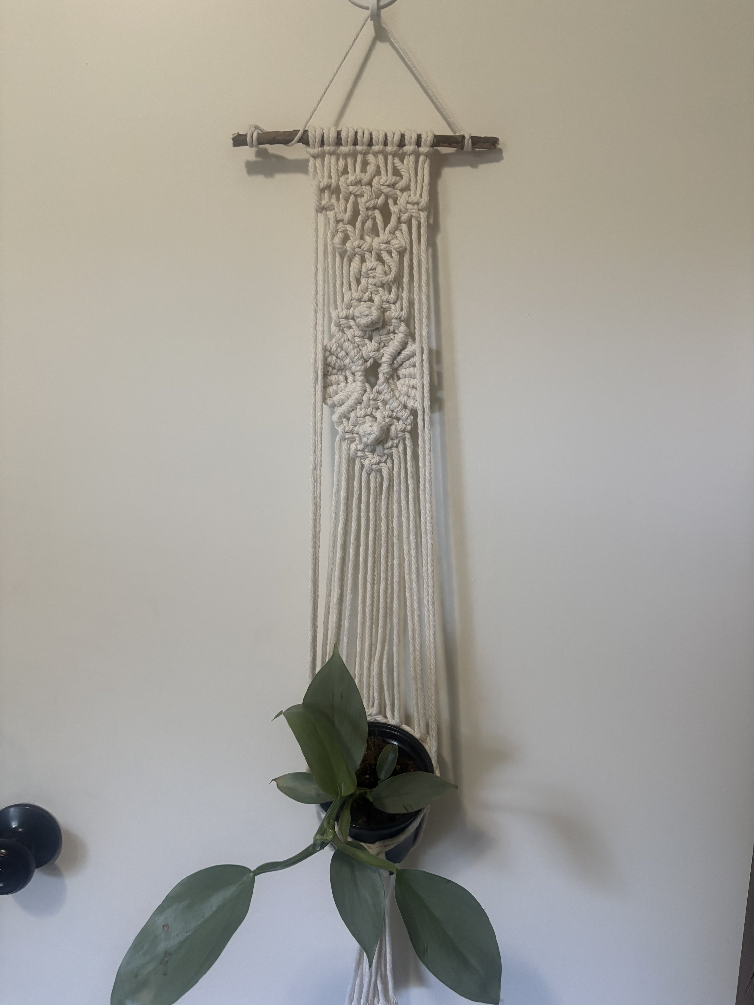 Botanical Wall Planter
(4" x ?")
This plant hanger features intricate knotwork and a natural wood hanger. Designed to display your favorite plant while adding an organic beauty to your walls.
$45.00