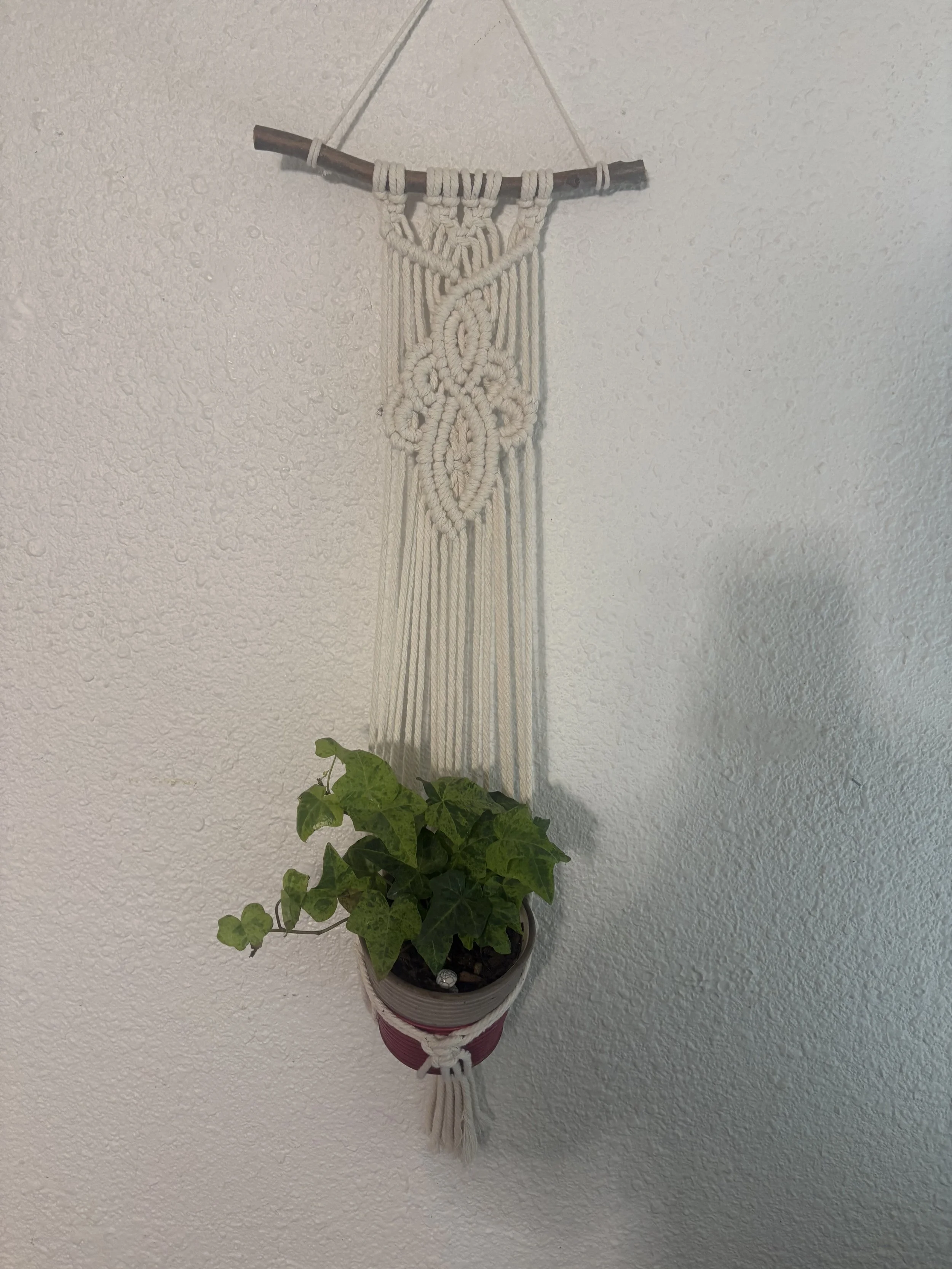 Endless Knot Plant Hanger
(5" x ?")
Inspired by traditional Celtic knotwork, this plant hanger features flowing lines and intricate patterns that symbolize connection, growth, and continuity.

$45.00