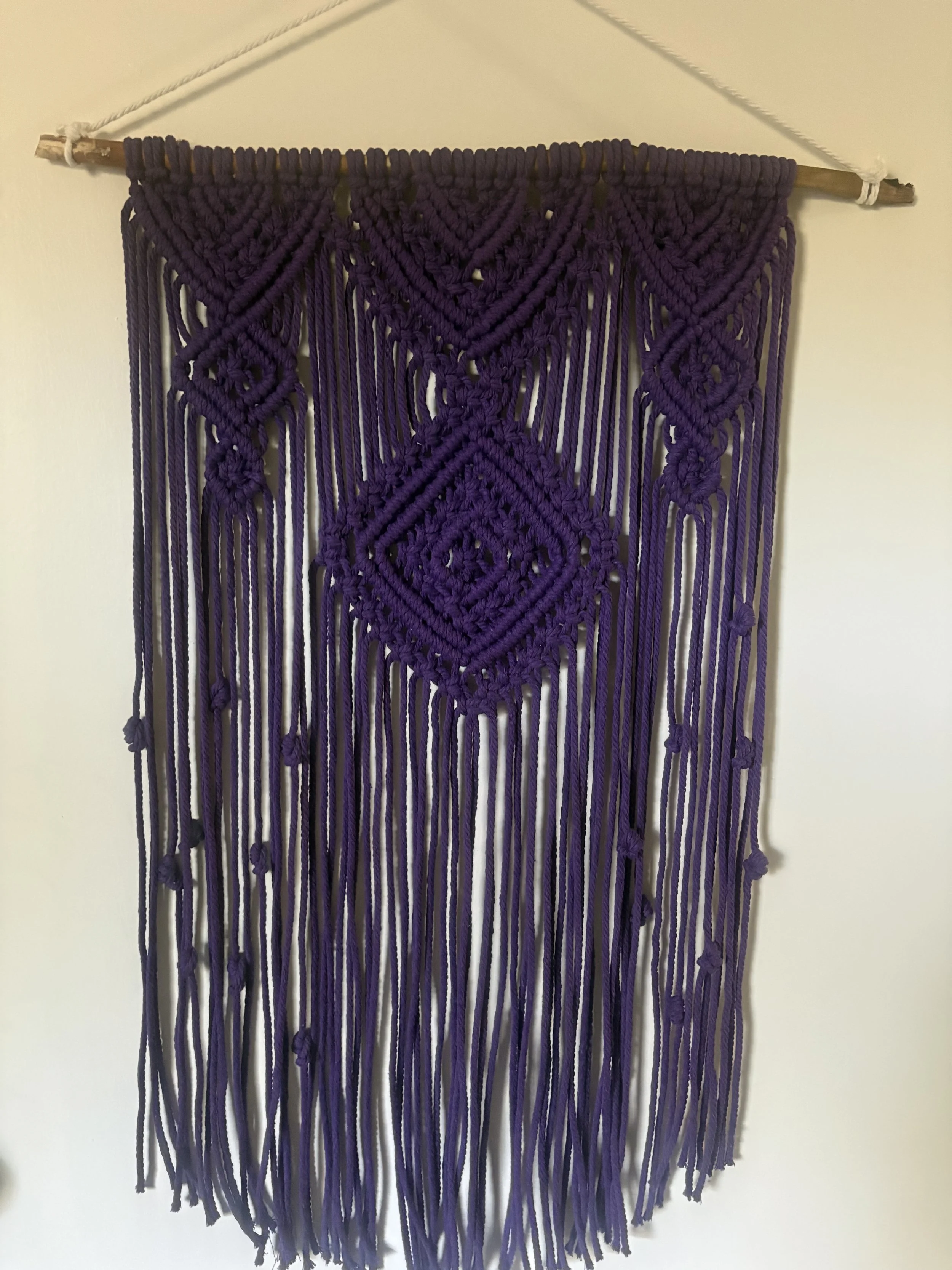 Midnight Amethyst
(16" x 28")
Rich purple cord and intricate geometric knotwork create a bold eye-catching statement piece. Inspired by amethyst crystals and twilight skies, this wall hanging adds depth, color, and texture to any room.
$100.00