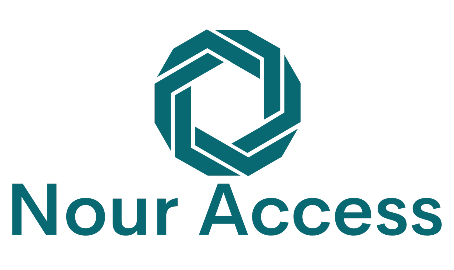 Nour Access – Private &amp; Assisted Transport
