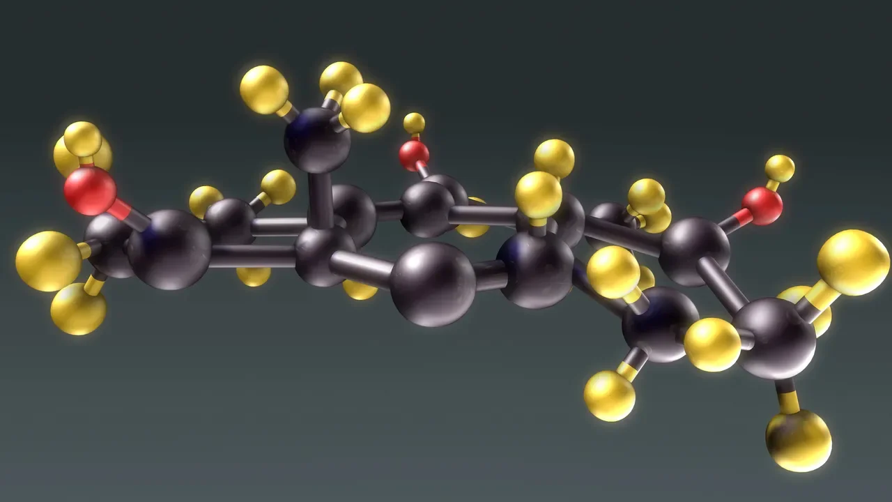 Molecular model illustrating peptide chains and amino acids