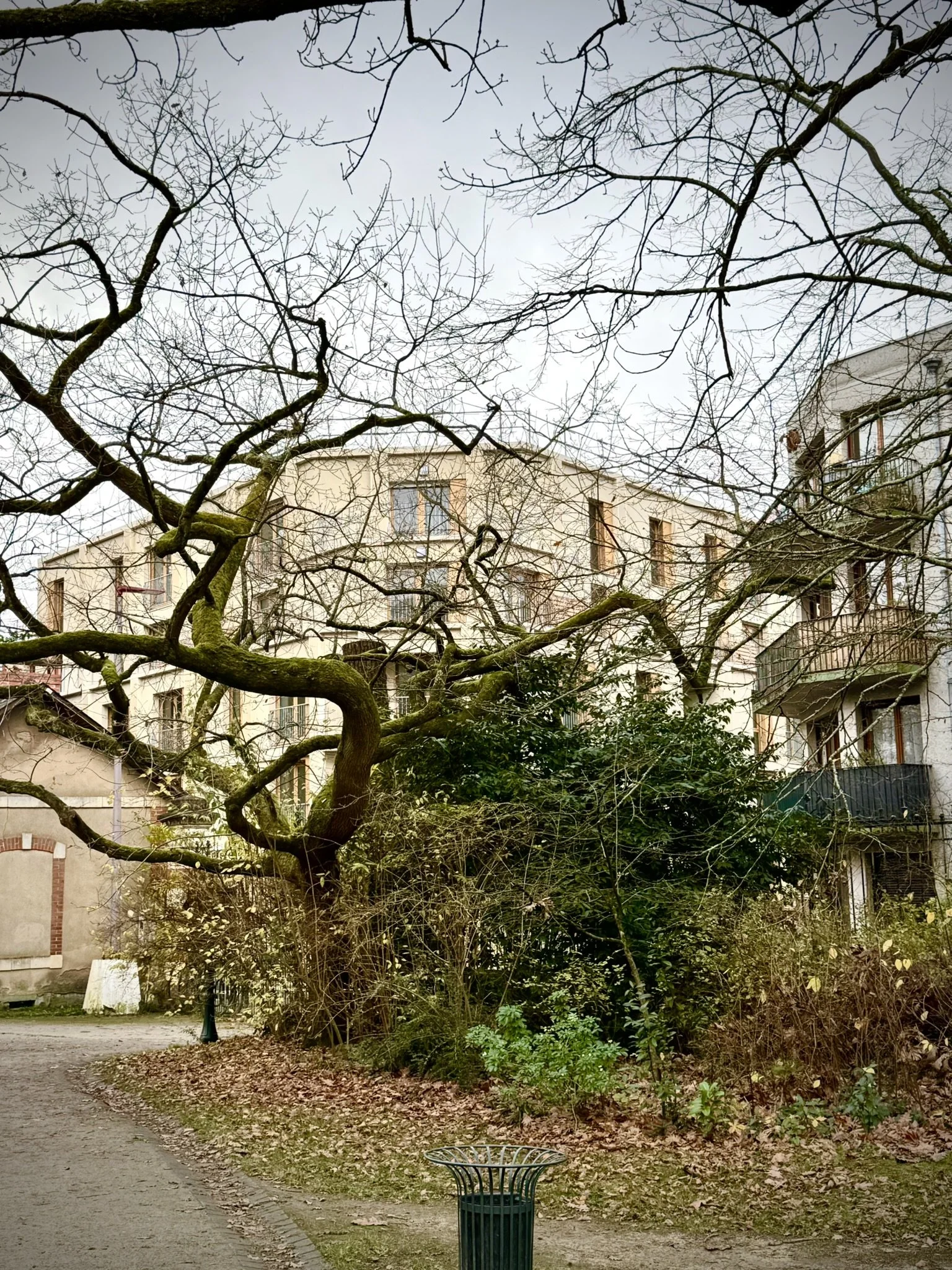 48 Logements au Mans