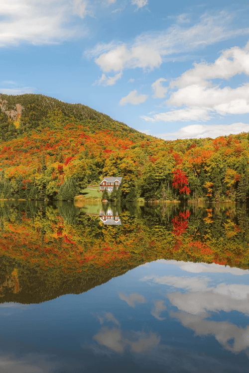 6N0A2987.png