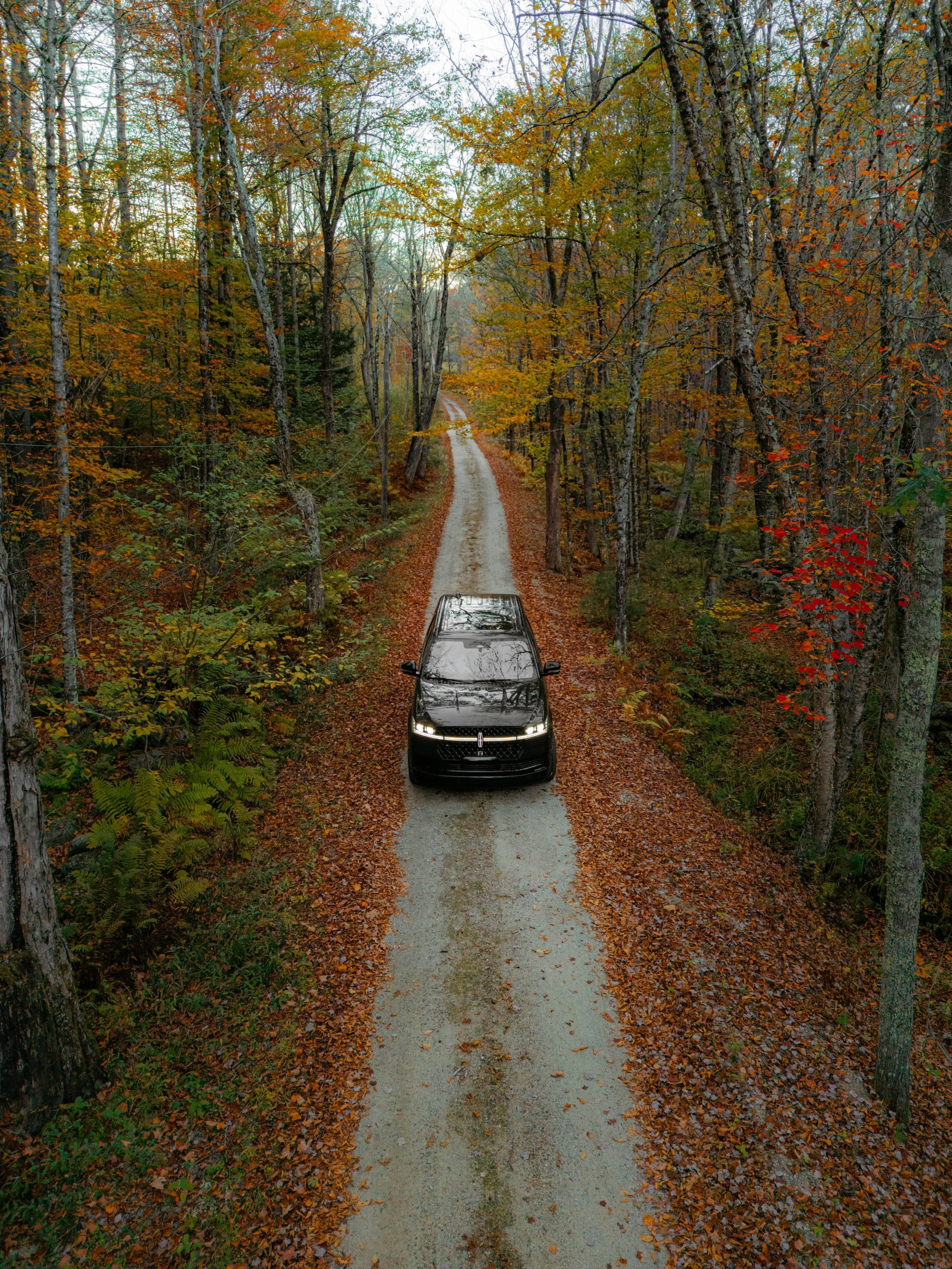 A black car is driving down a narrow dirt and gravel forest path covered with fallen autumn leaves on both sides, surrounded by tall trees with orange, yellow, and green foliage.