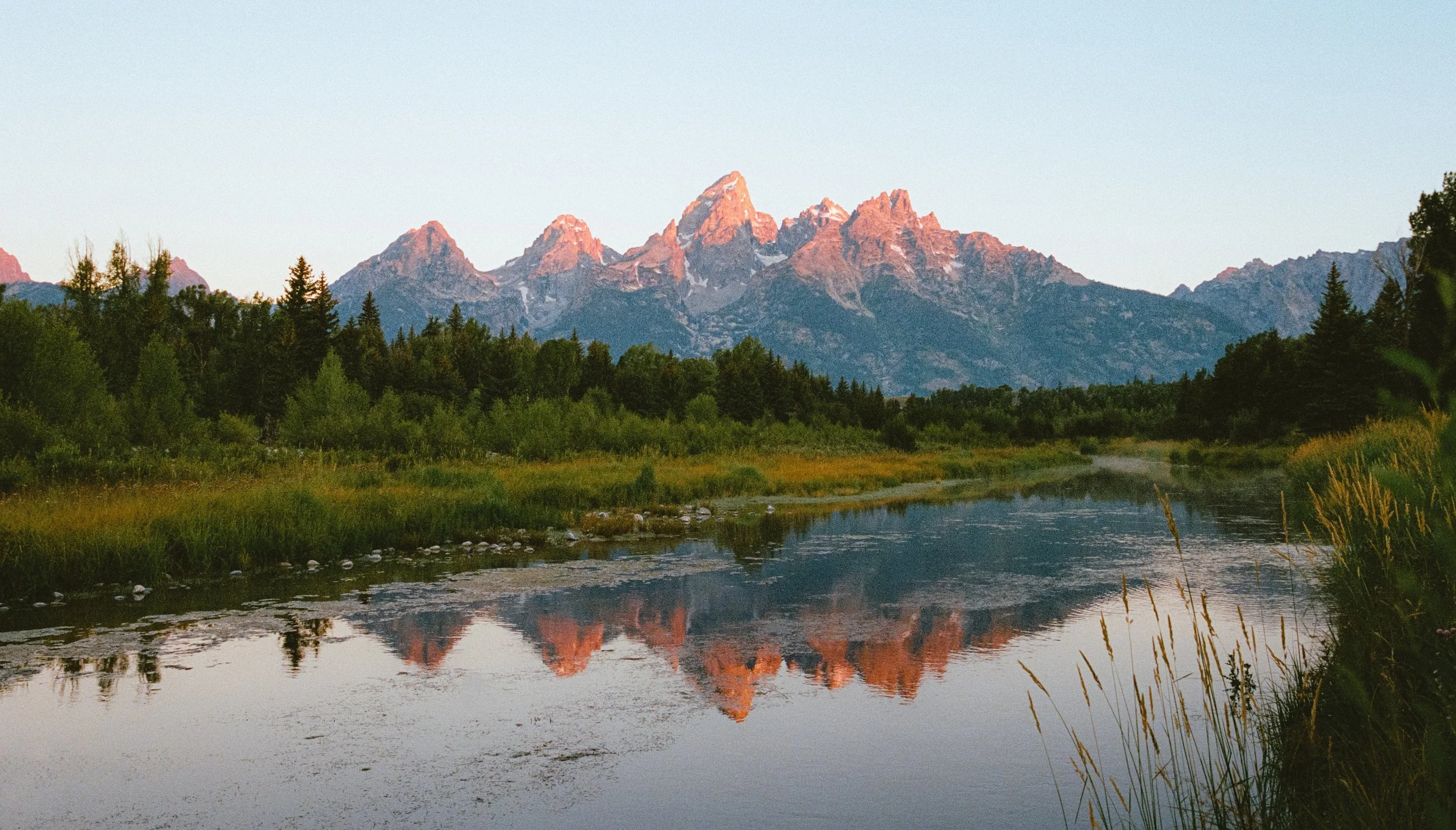 Mountain range with snow-capped peaks in the distance, lush green trees and plants in the foreground, a calm river or lake reflecting the mountains, and a clear sky overhead.