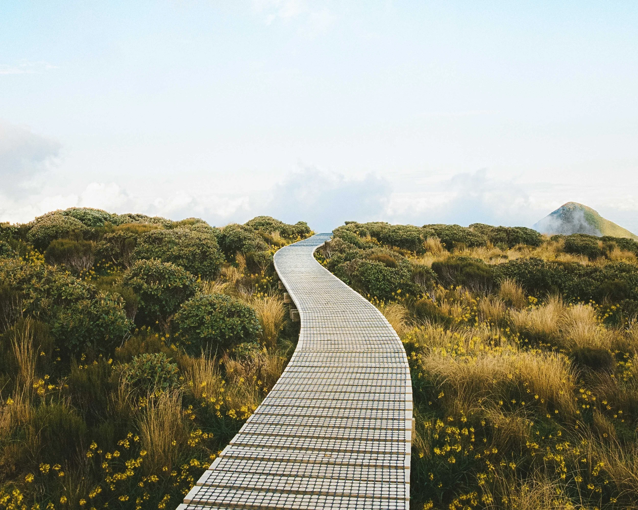 A winding boardwalk through a lush, green, natural landscape with low bushes and yellow flowers, leading towards mountain hills in the distance under a partly cloudy sky.