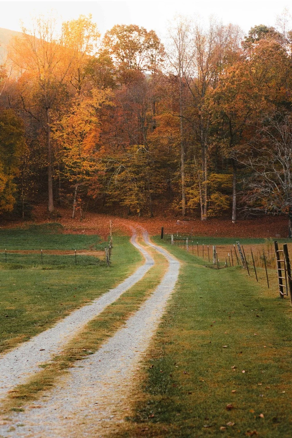 A winding gravel country road running through green grass, leading into a wooded area with trees showing fall colors like orange, yellow, and brown.