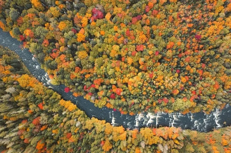 DJI_0999.jpg