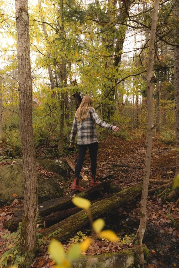 6N0A9550.jpg