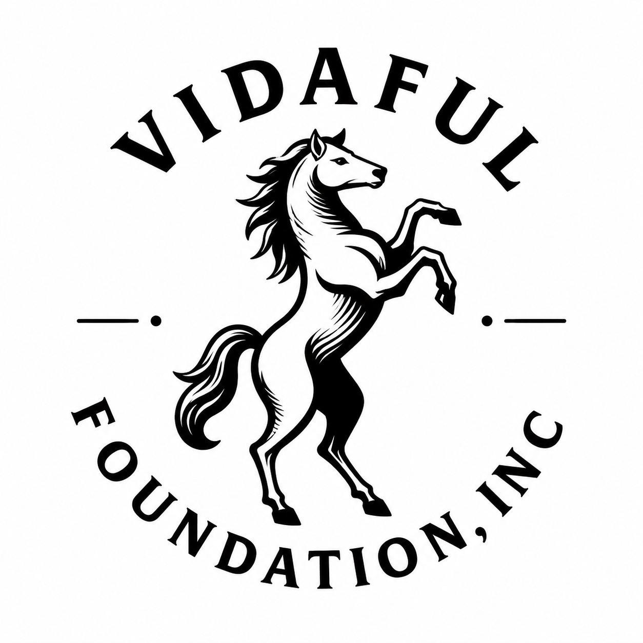 Vidaful Foundation, Inc.