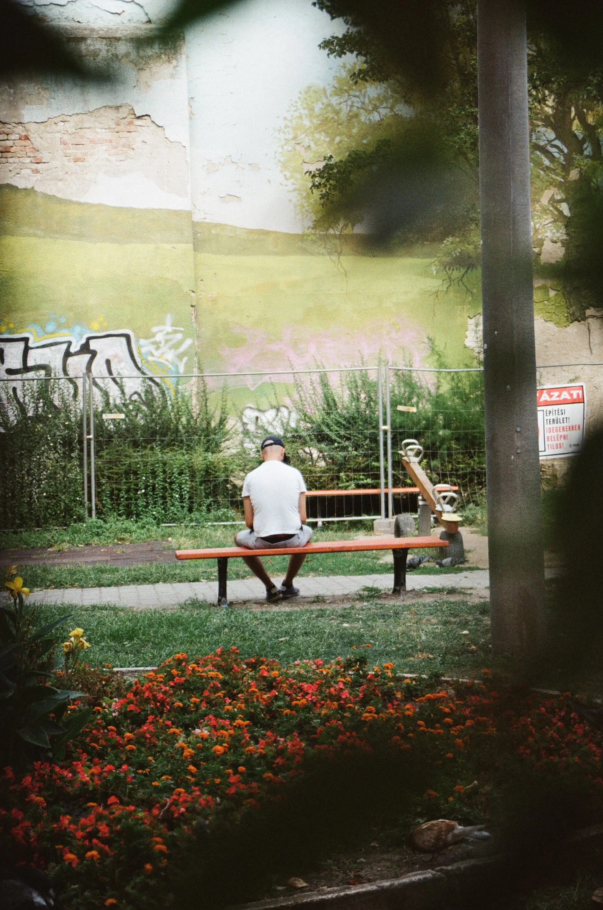 A man sitting alone on a park bench facing a colorful graffiti mural on a wall, with flowers and greenery in the foreground and a waterfall feature to the right.