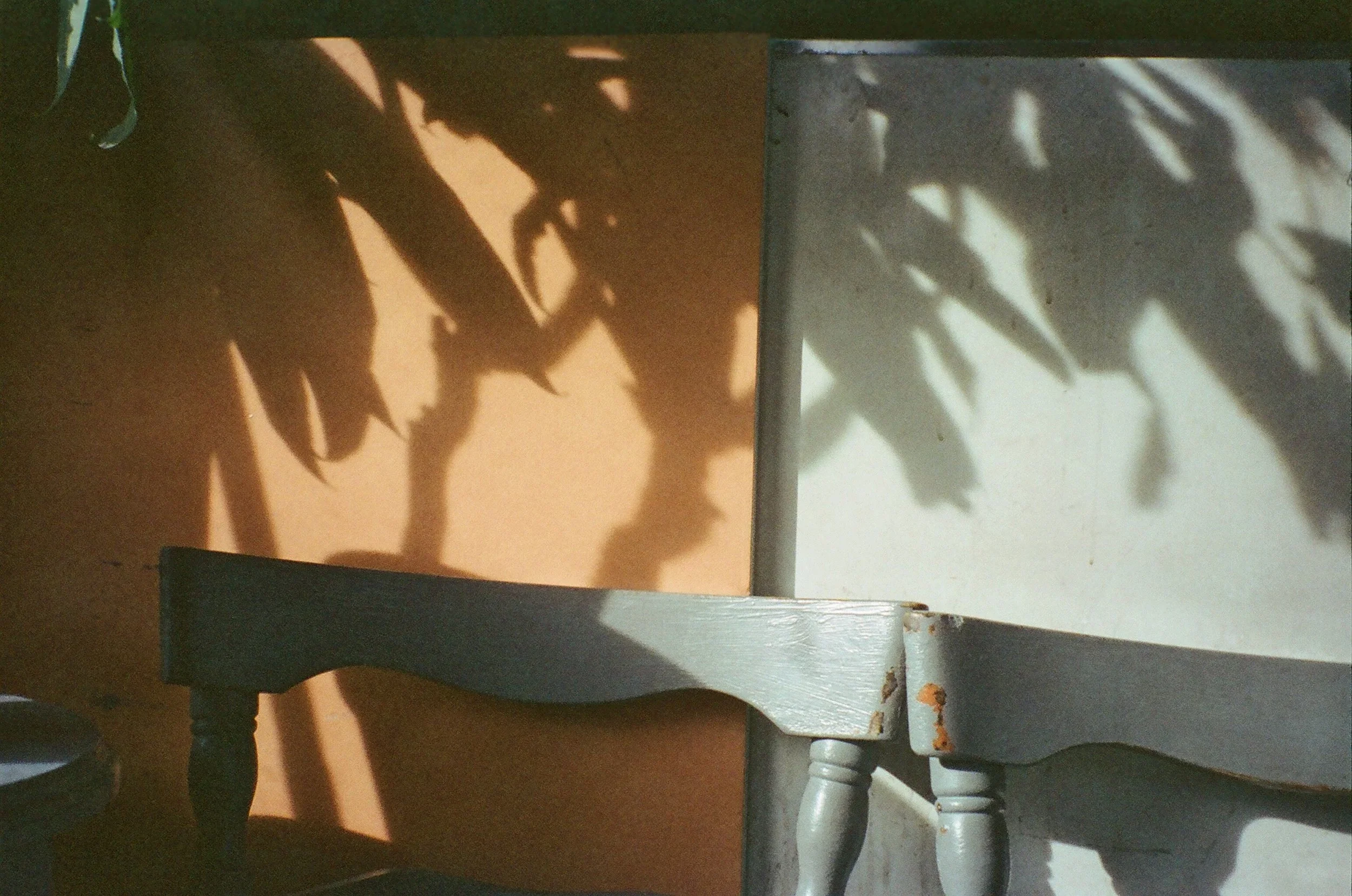 Shadow of plant leaves cast on a wall and a piece of furniture in a room with wooden and painted surfaces.