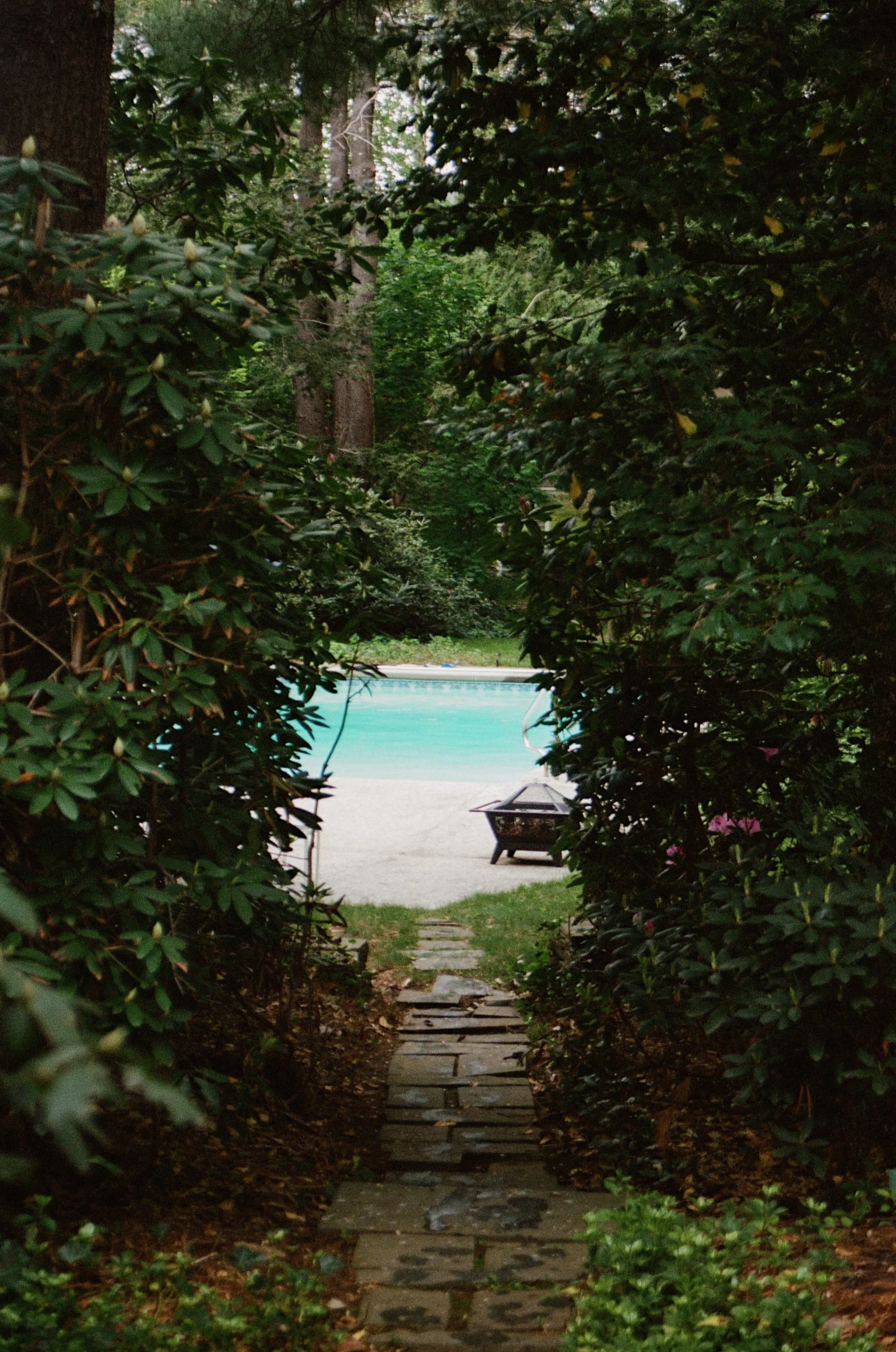 A stone pathway leading to a backyard with a swimming pool, surrounded by dense greenery and trees.