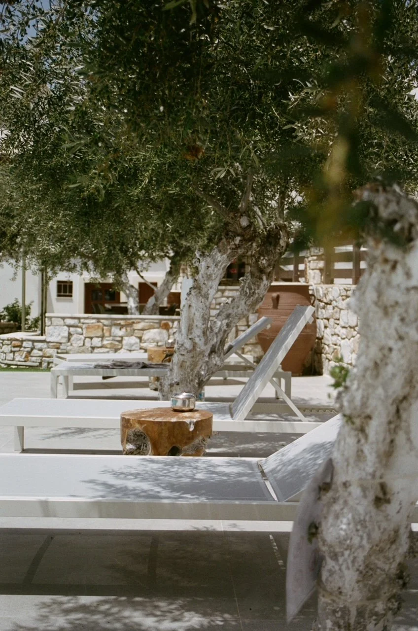 Outdoor lounge chairs and a small wooden table under a large leafy tree near a stone wall and a white building.