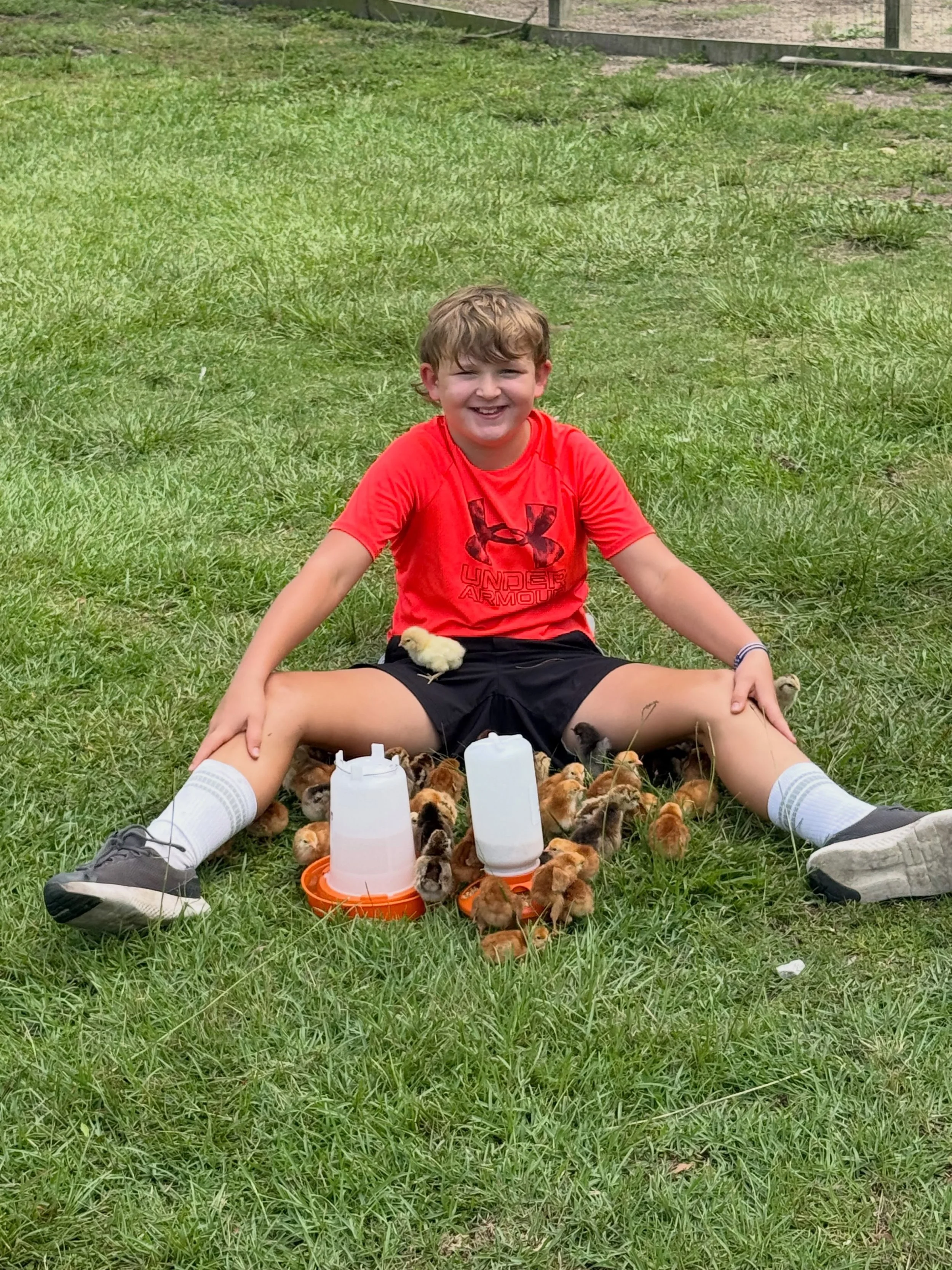 I think baby chicks are the cutest. I could sit with them all day. Hope to see everybody tomorrow at the Bluffton farmers market. Lots of fresh chicken and duck eggs to sell.