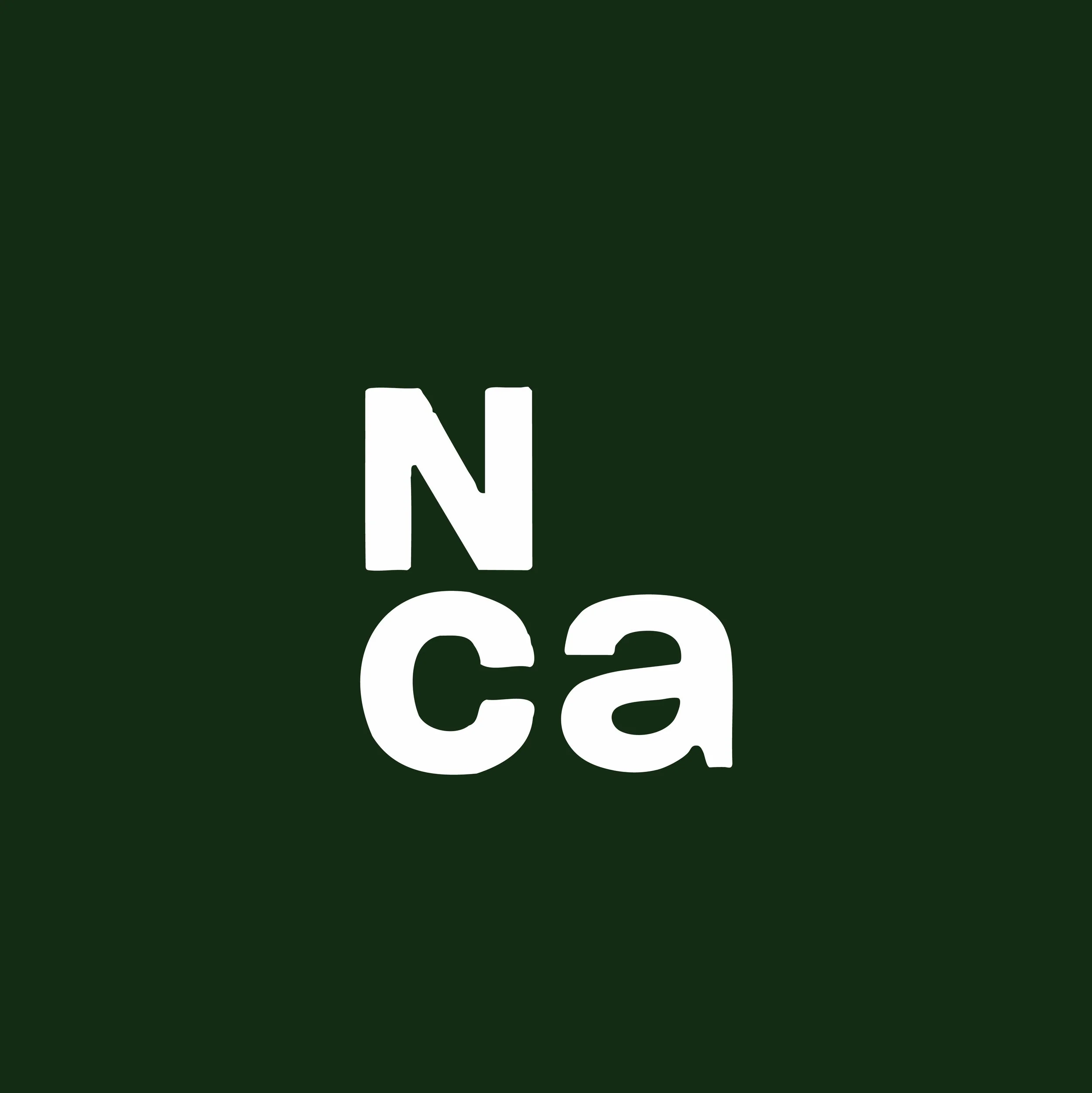 Nosara Civic Association