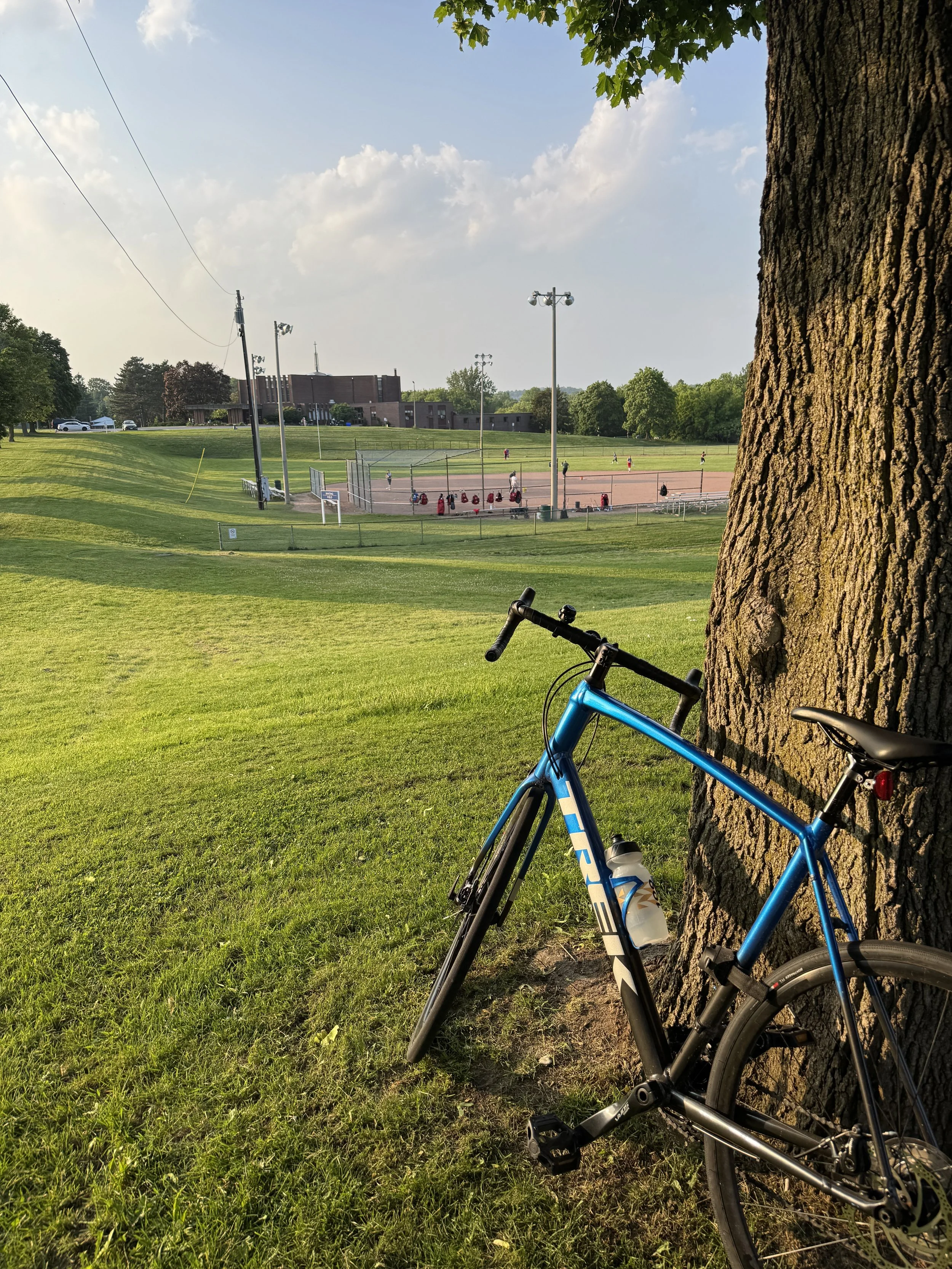 A blue bicycle leaning against a tree trunk. In the background, a baseball field with players, and a building. The scene is outdoors on a grassy area during daytime with a partly cloudy sky.