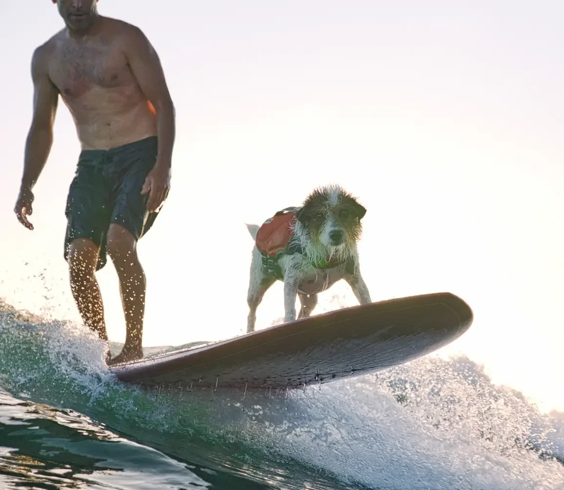 A man surfing on a wave with a dog sitting on the surfboard beside him.