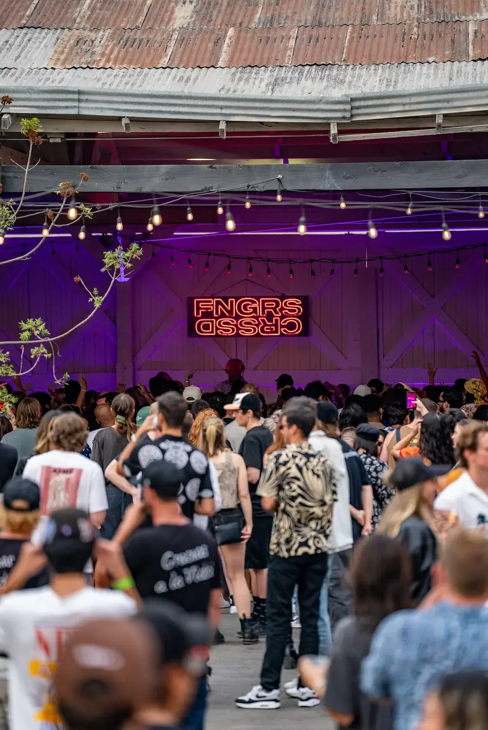 Crowd of people at an outdoor music event with a stage illuminated by purple lights and a neon sign that reads 'CASSY GNGRS' in upside-down text.