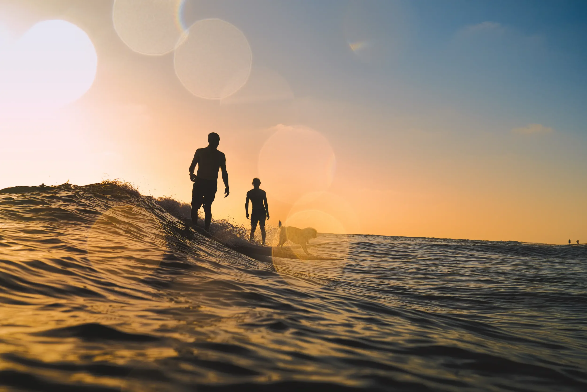 Silhouetted figures of two people and a dog standing in shallow ocean water during sunset with a colorful sky and lens flares.