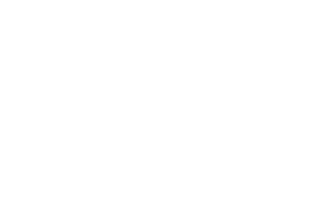 Netflix logo - selected client