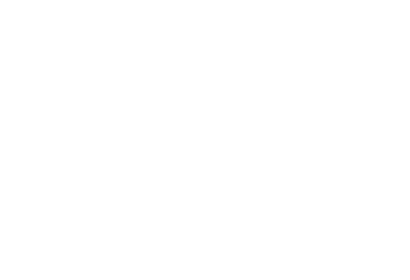 DJI logo - selected client