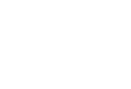Pirelli logo - selected client