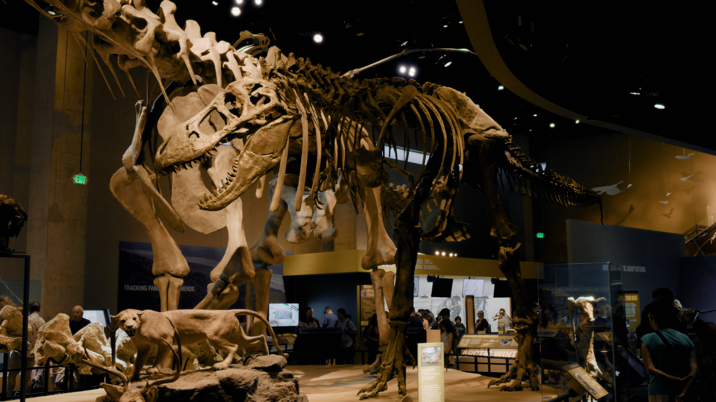 Perot_01_00_21_06.png