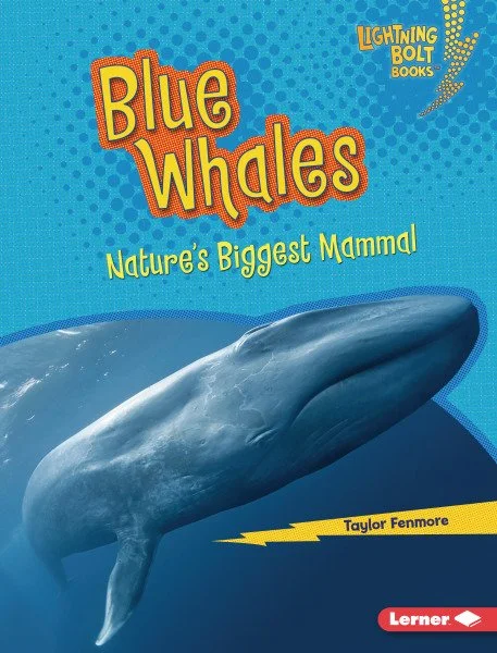 xl_9798765608395_fc.jpg