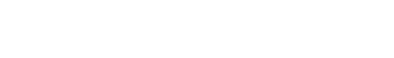 Close-up of the signature logo of the fashion brand Rossignol in black text on a white background.