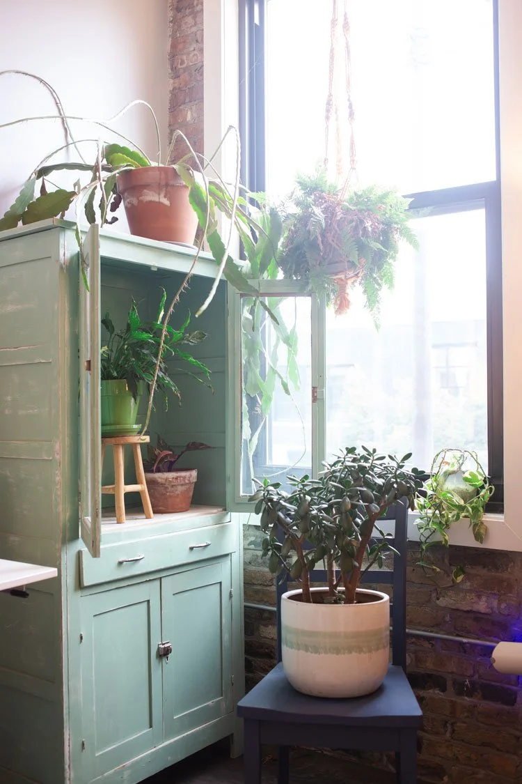 Interior detail of Verdant path Collective office space