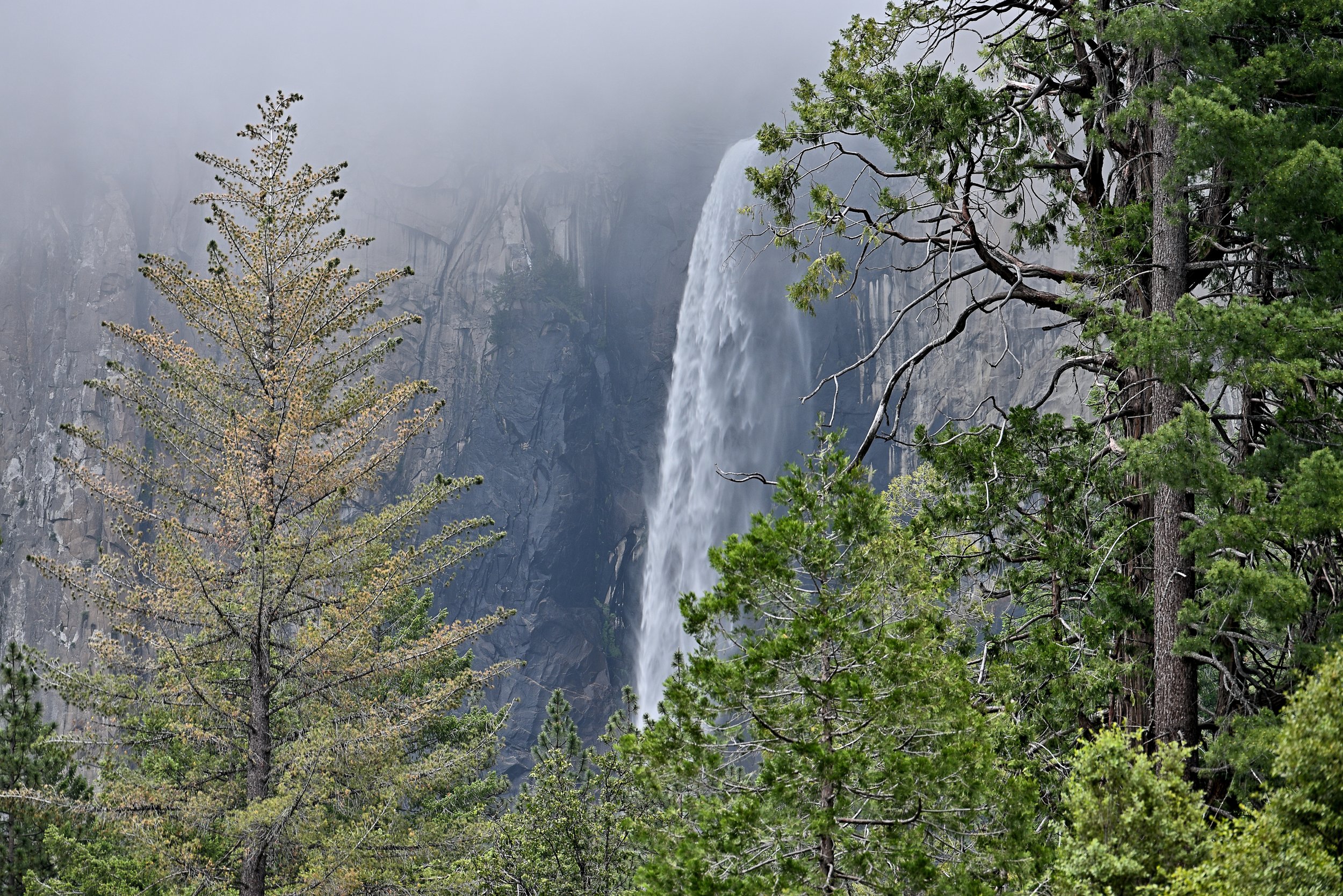 Bridalveil Fall – Yosemite National Park