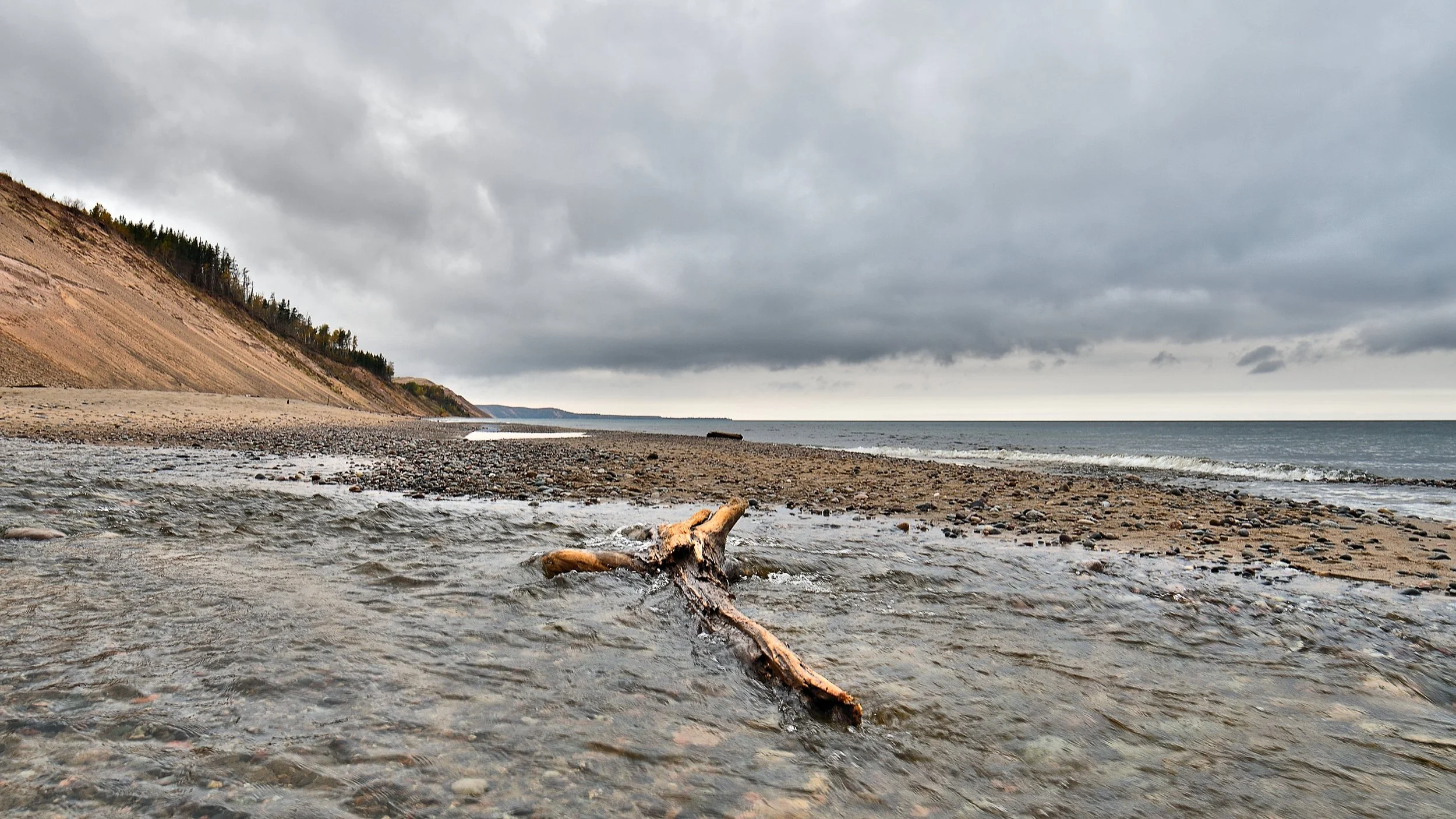 Driftwood