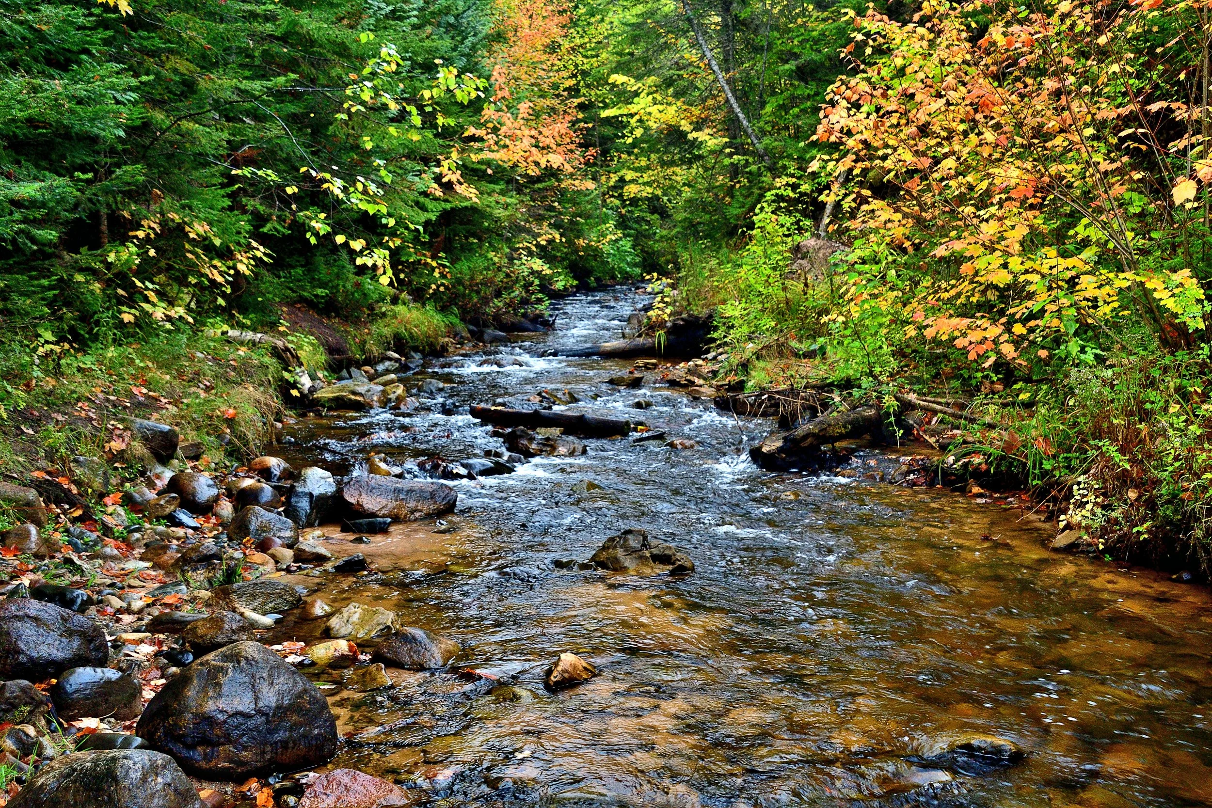 Autumn At The Creek