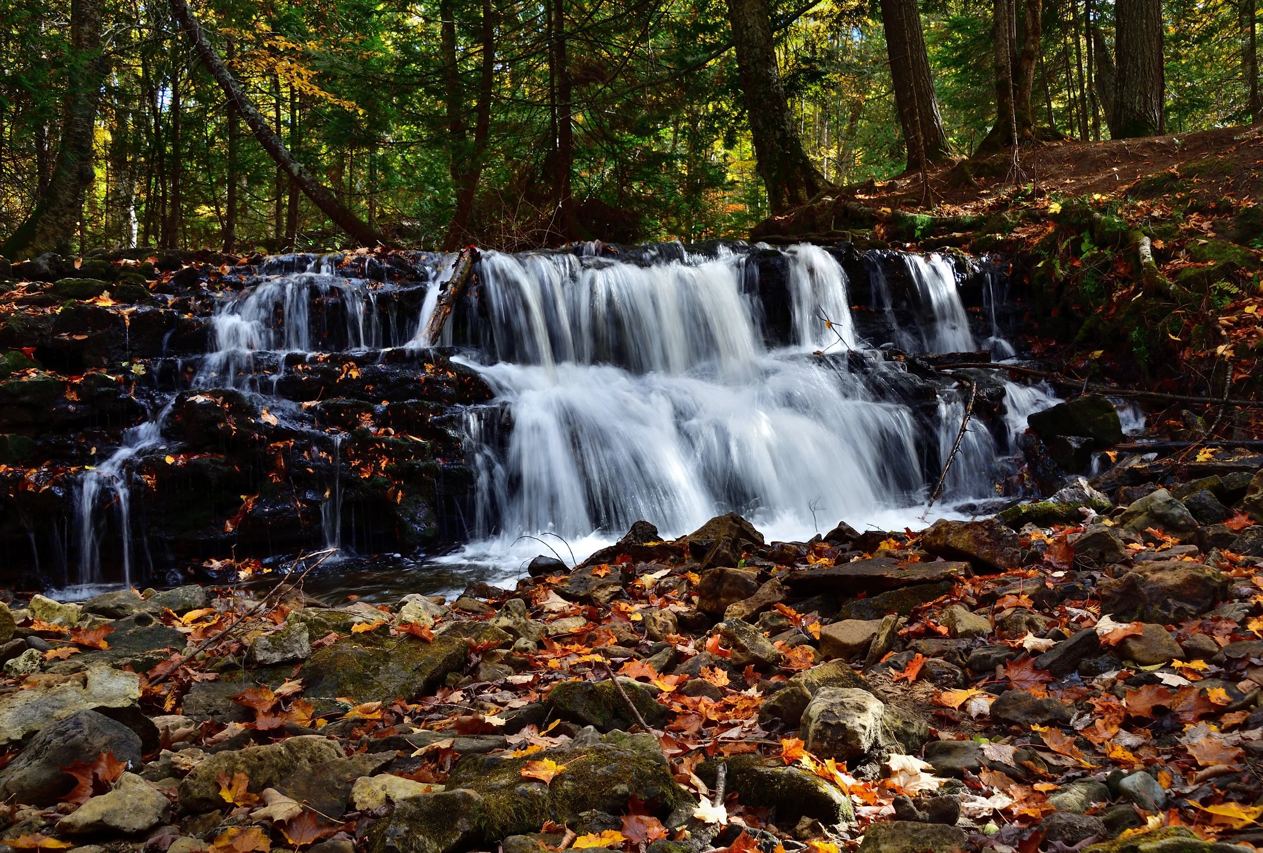 Mosquito Falls