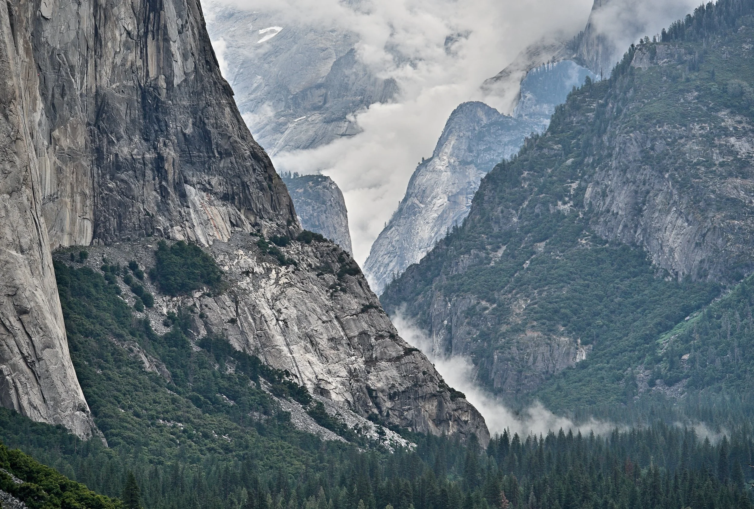 Yosemite Vision