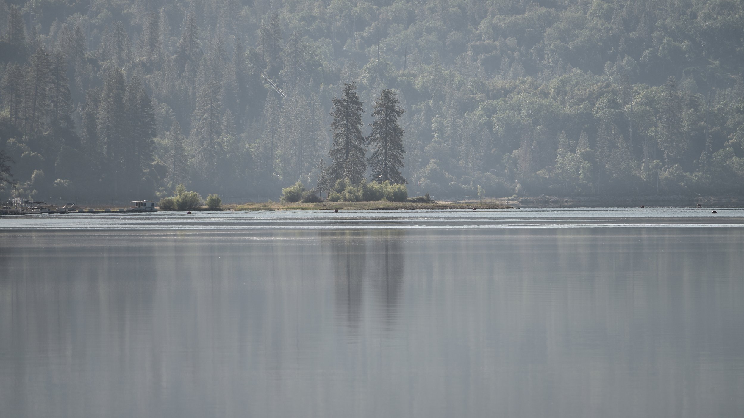 Quiet Morning