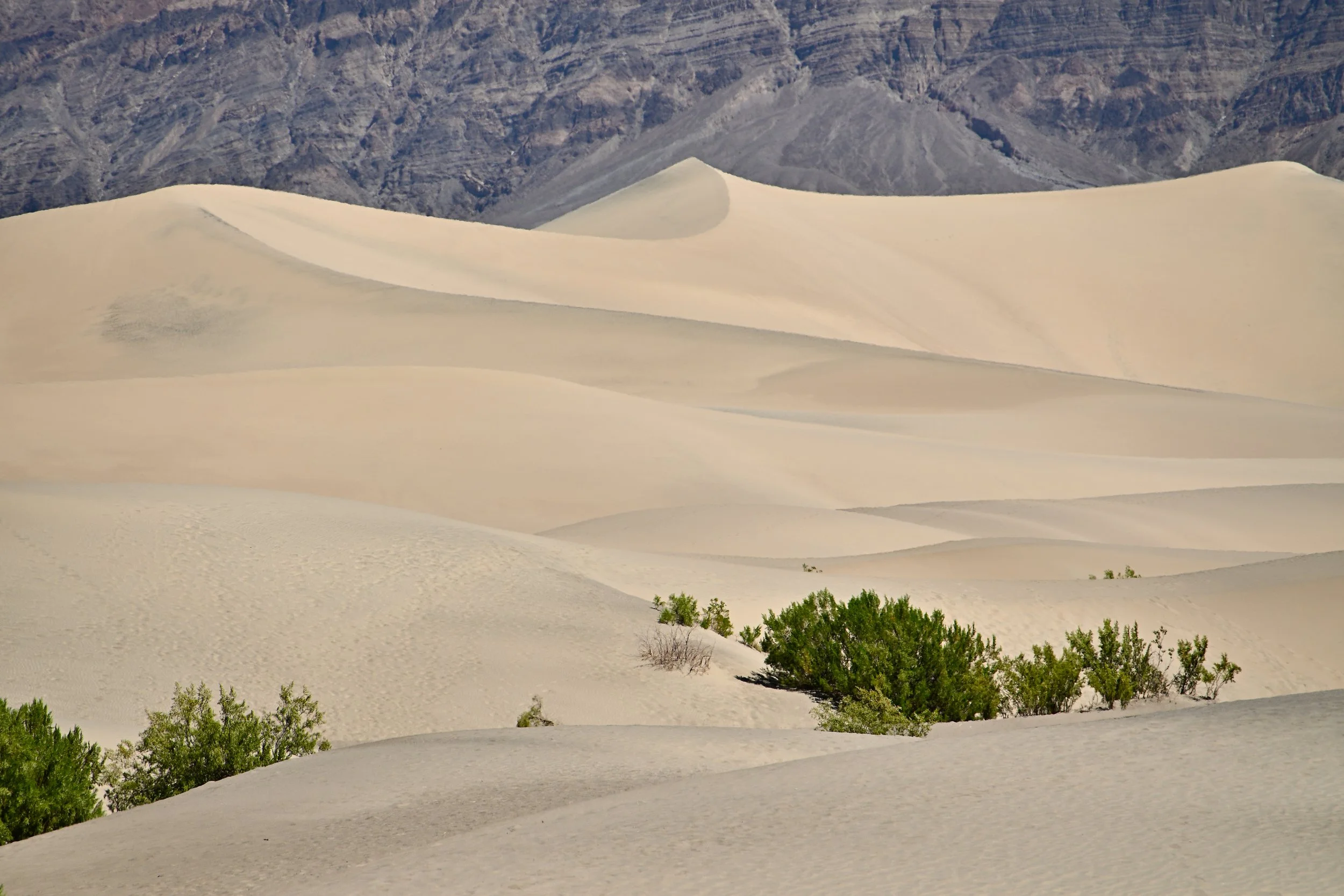 Seductive Sands