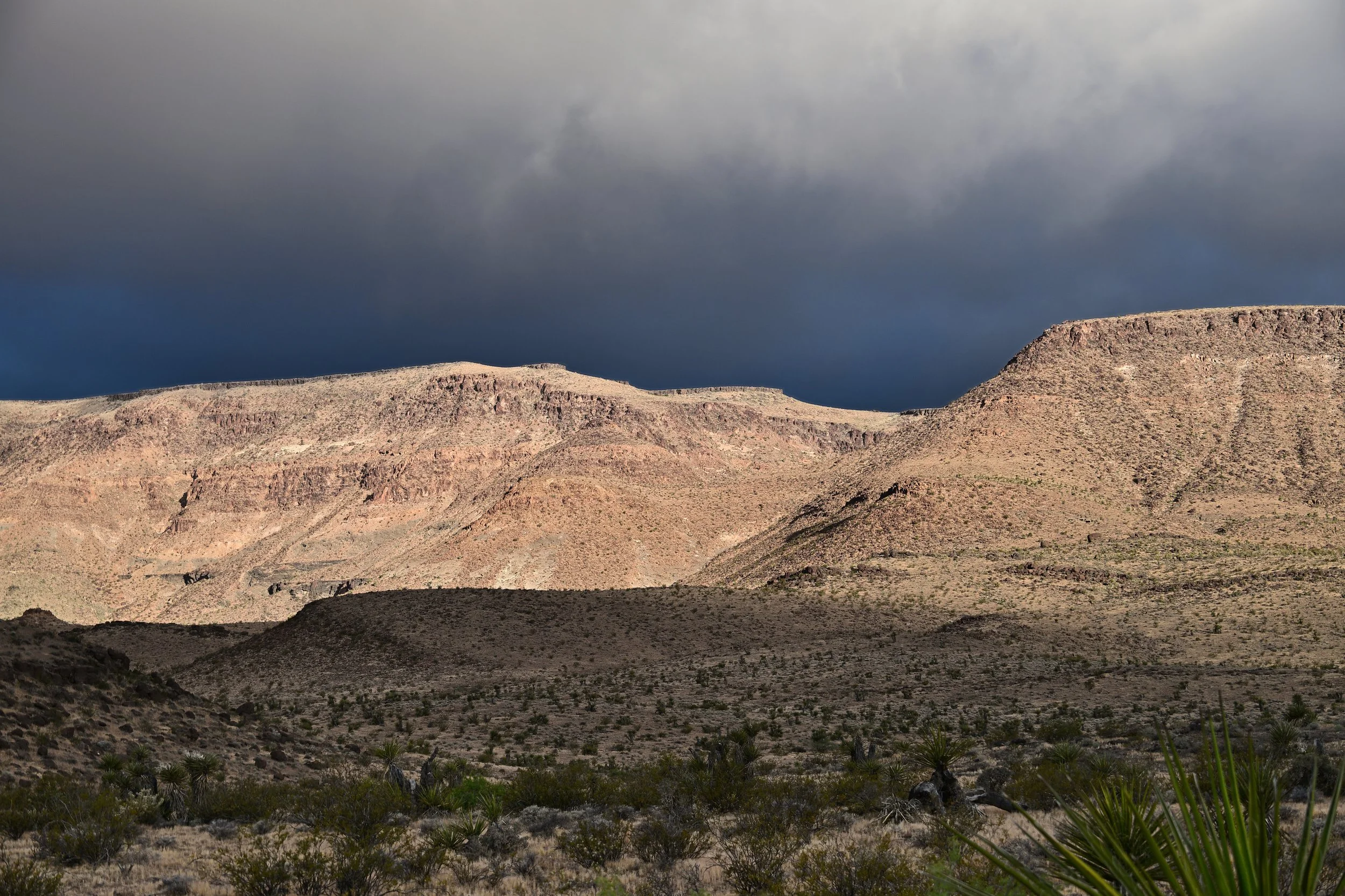 Moody Mojave Morning