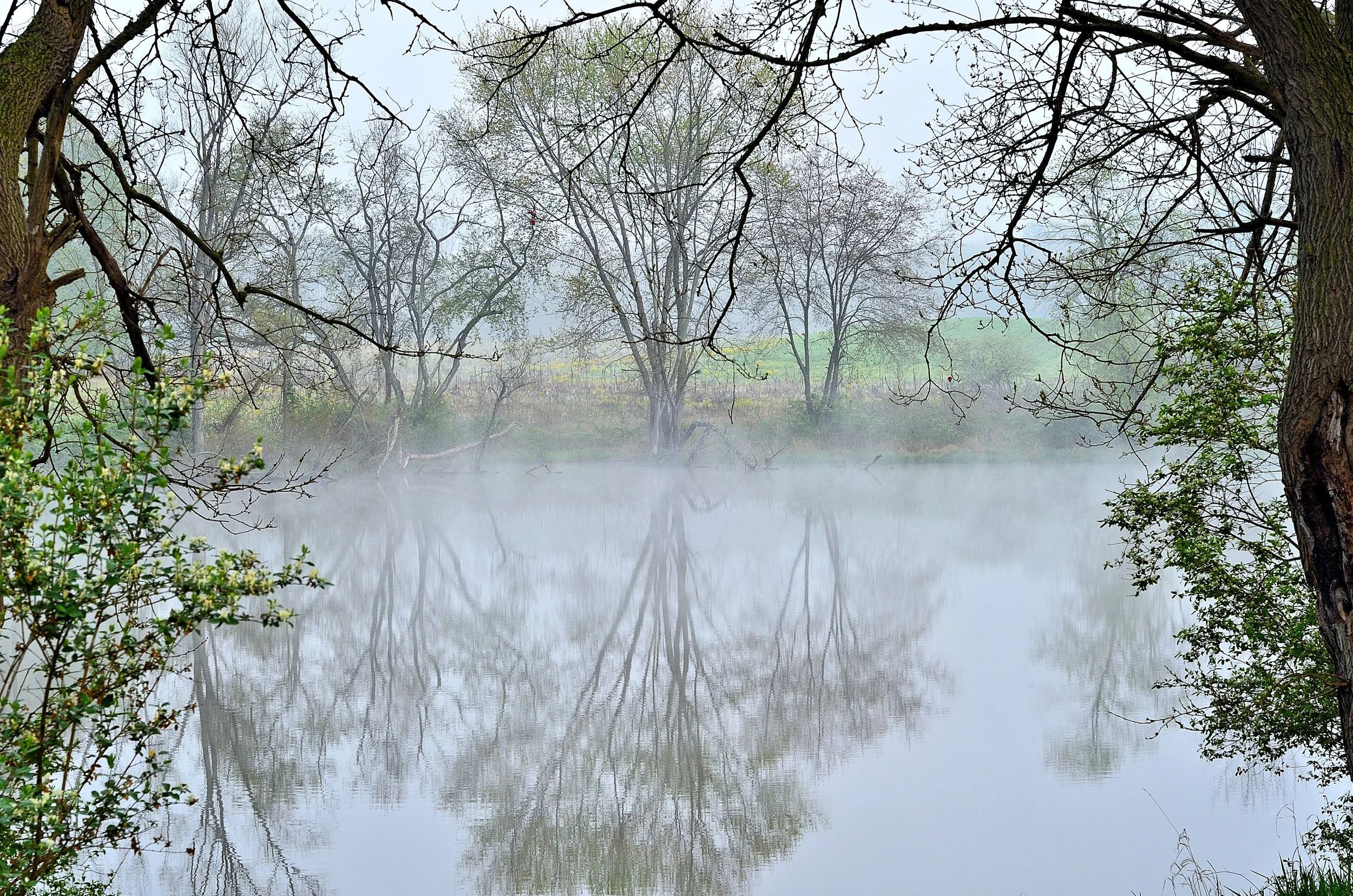 Mist Over Still Pond