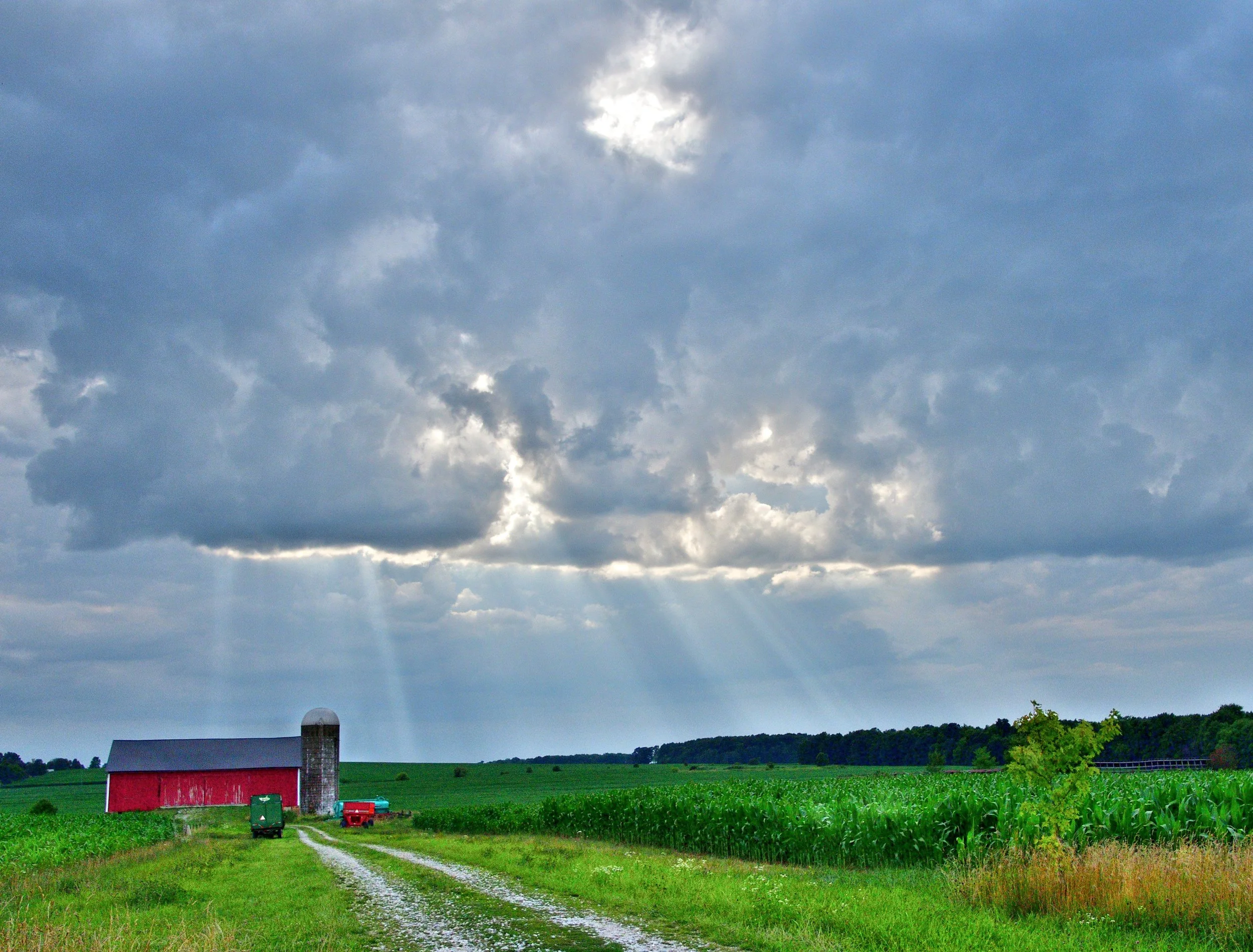 Red Barn &amp; Serendipity