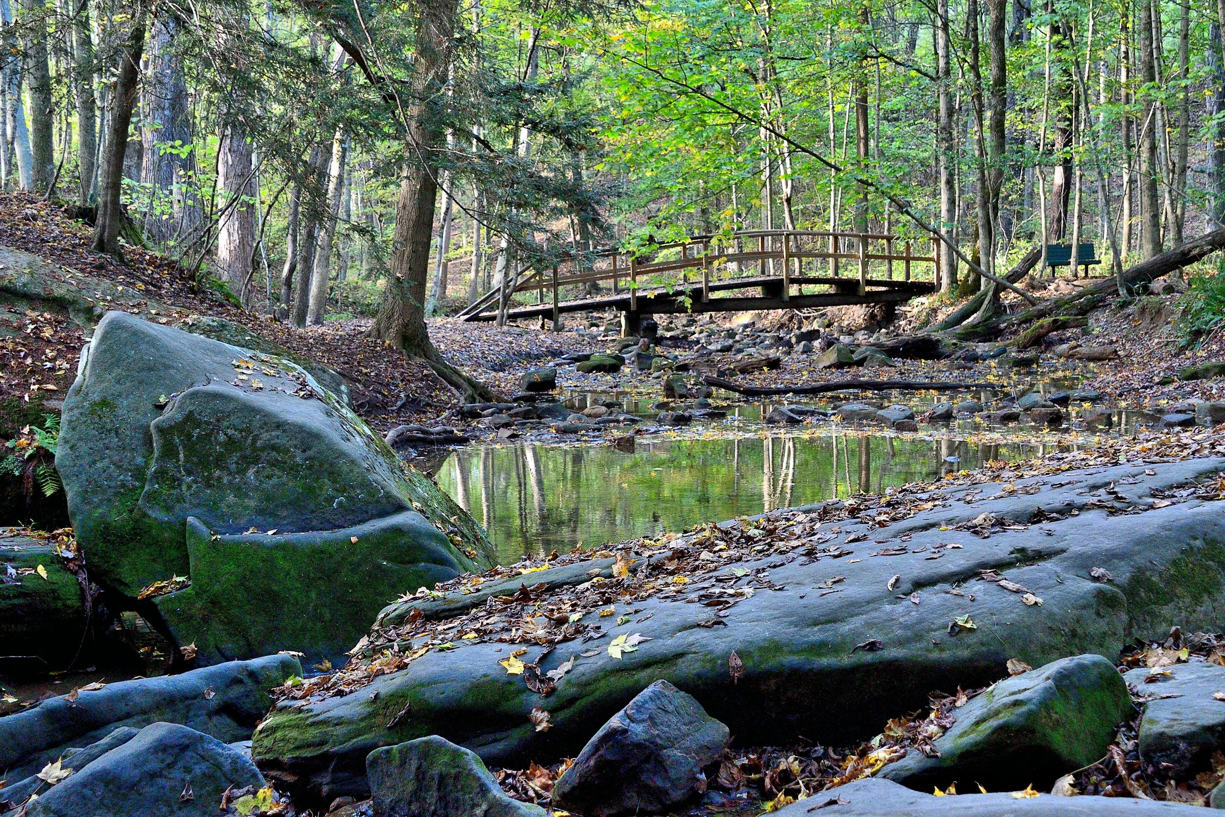 Footbridge over woodland stream